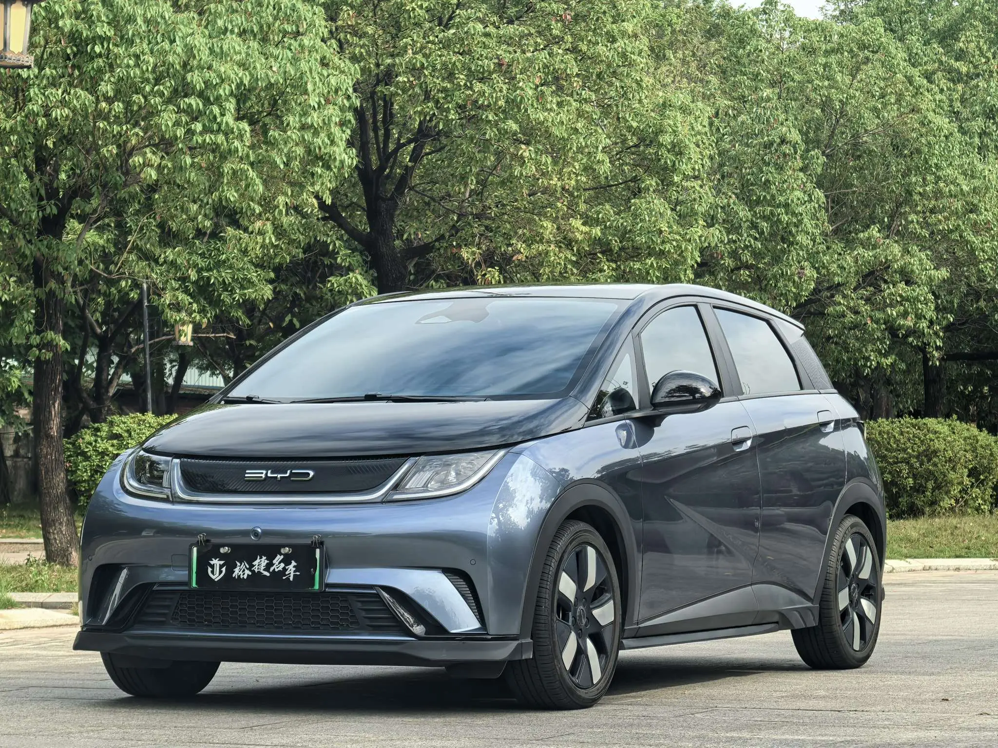 BYD Dolphin  из Китая