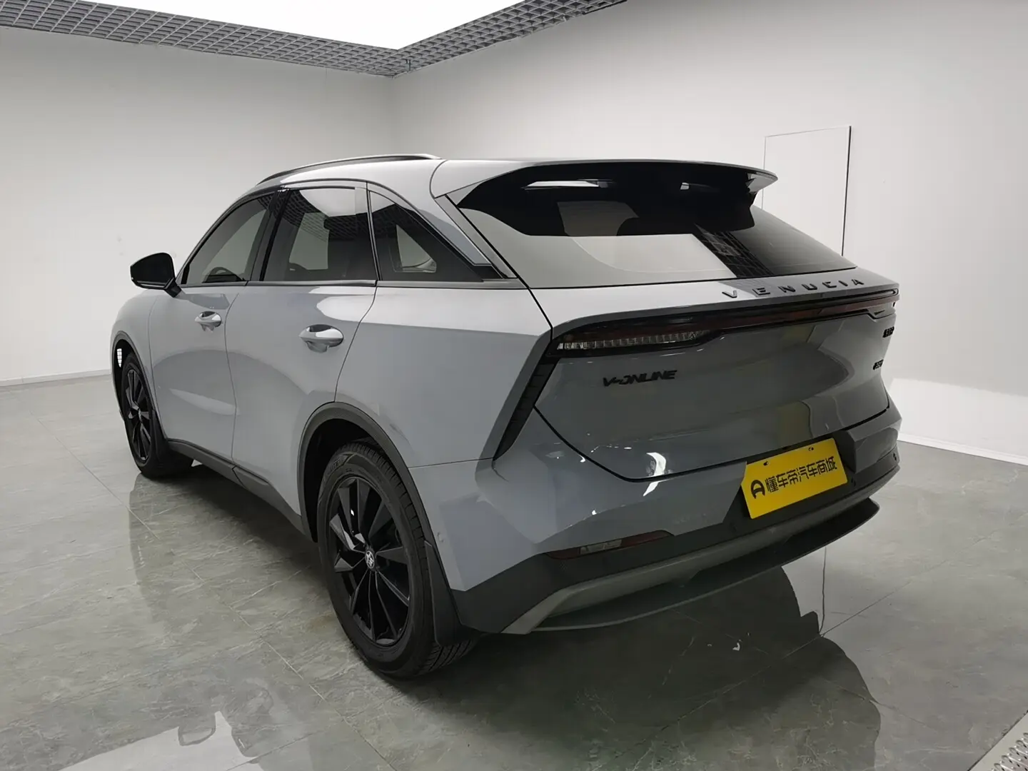 Kai Chen Venucia Big V