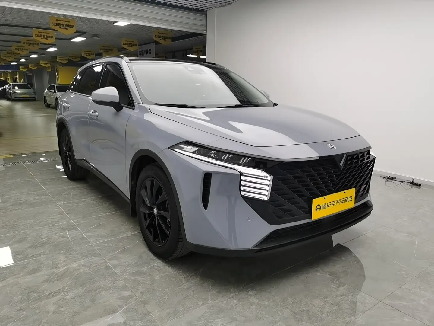 Kai Chen Venucia Big V