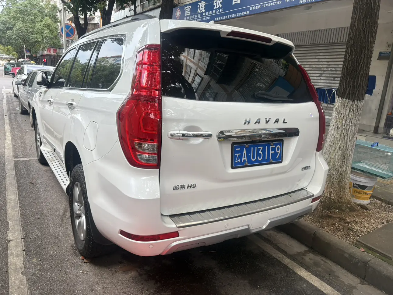 Haval H9
