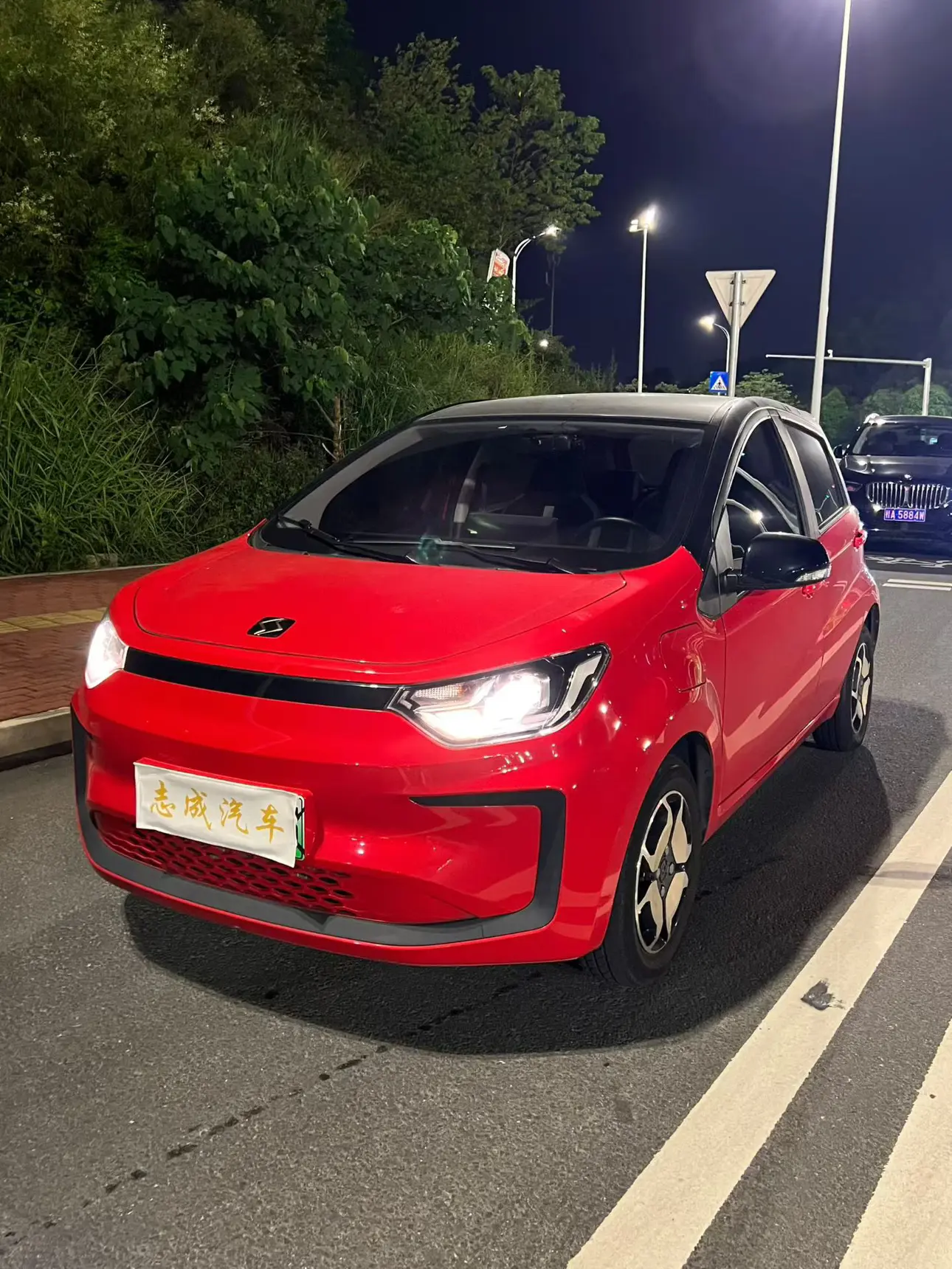 JAC (Sihao) Sihao Flower Fairy