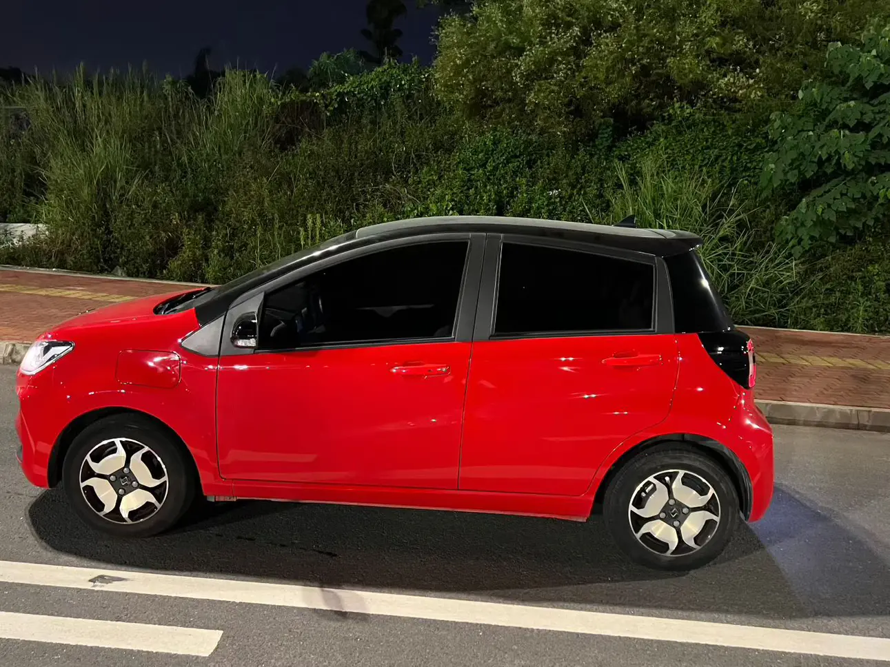 JAC (Sihao) Sihao Flower Fairy