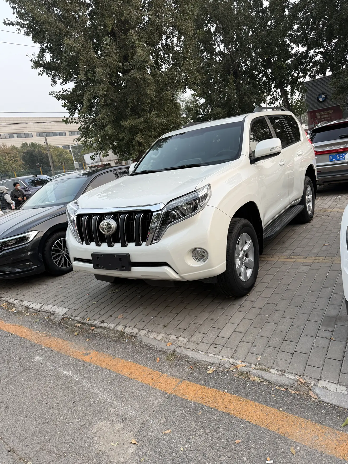 Toyota Prado