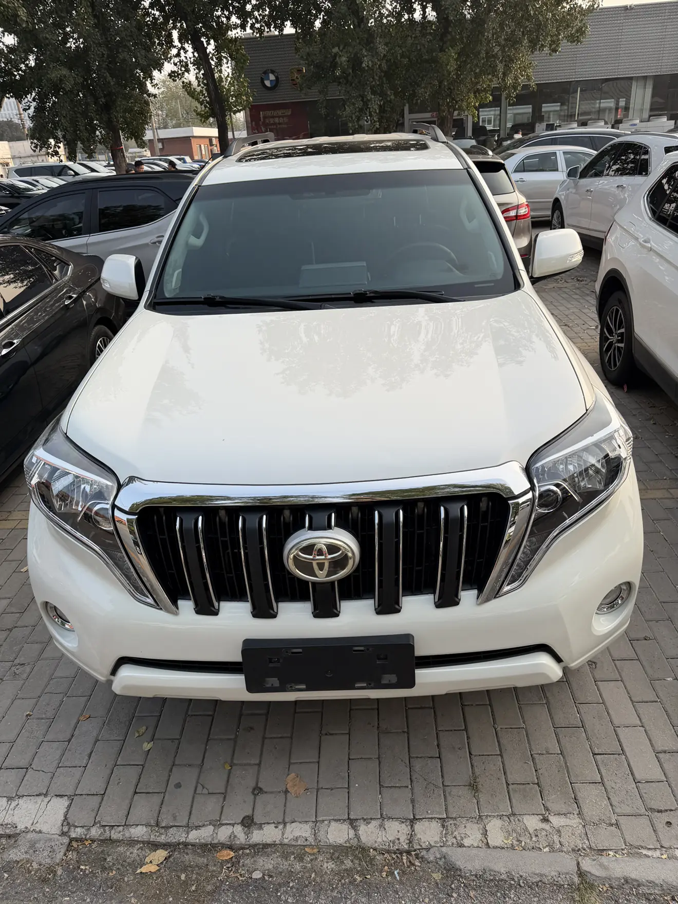 Toyota Prado