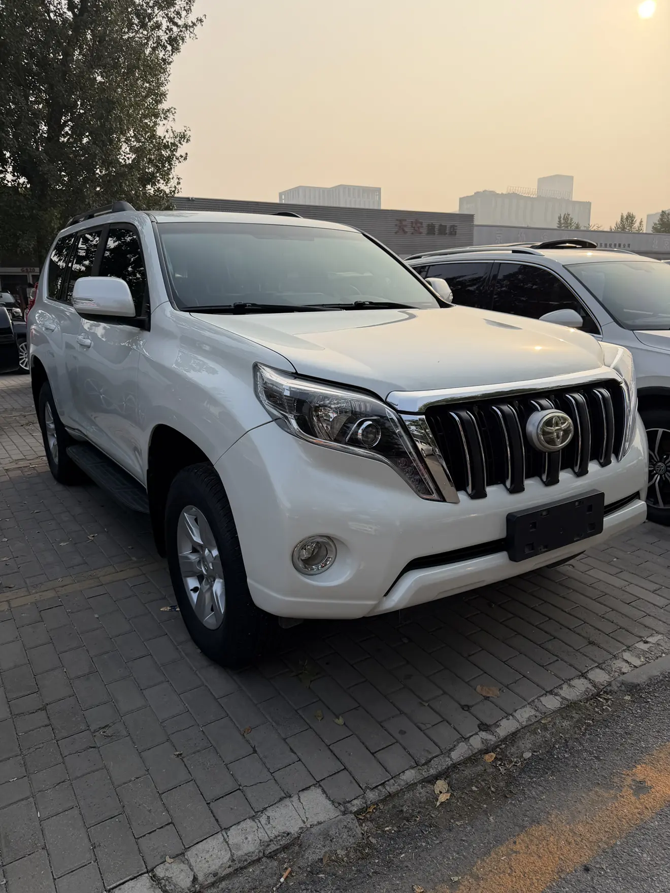 Toyota Prado