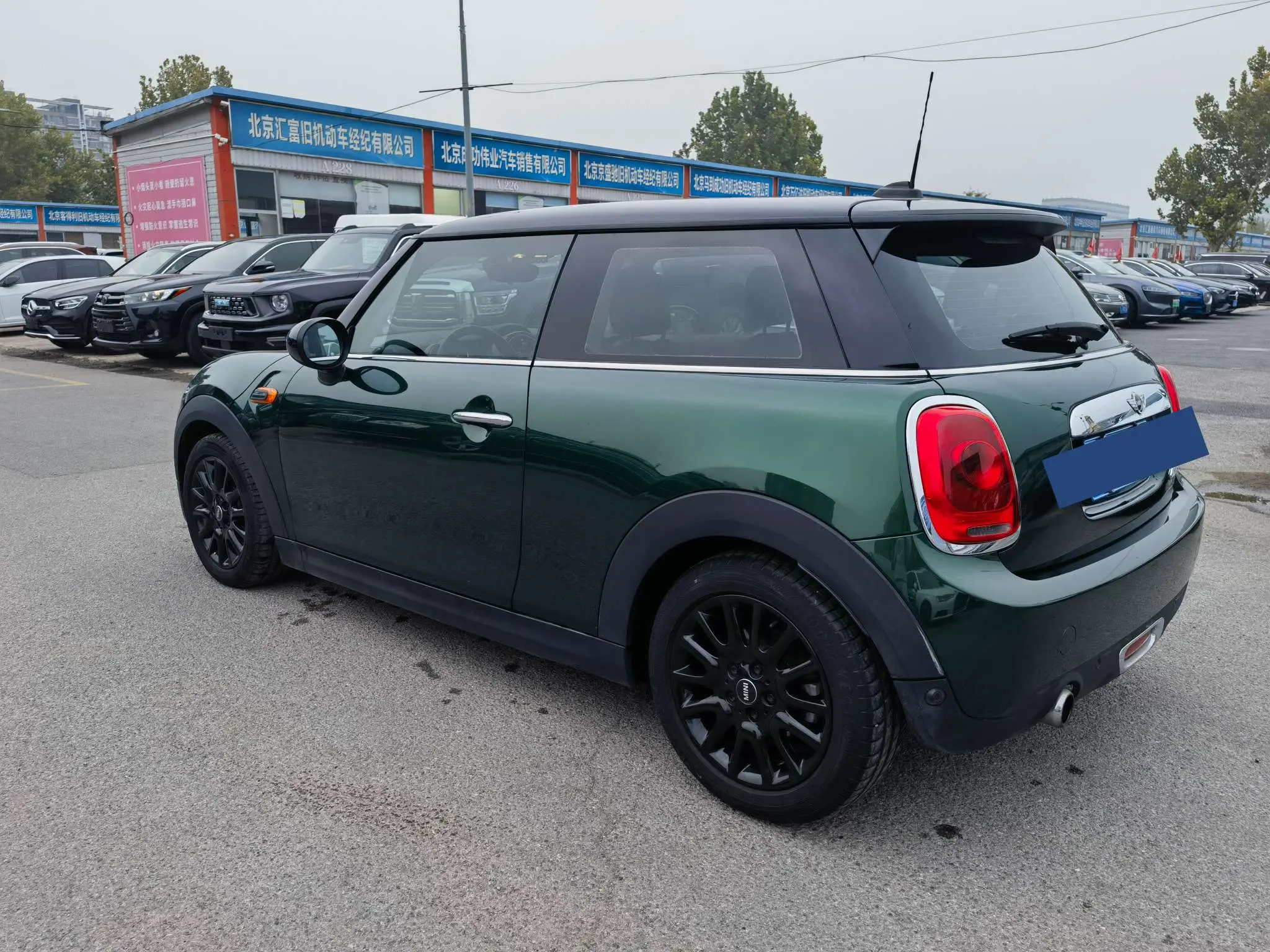 MINI MINI