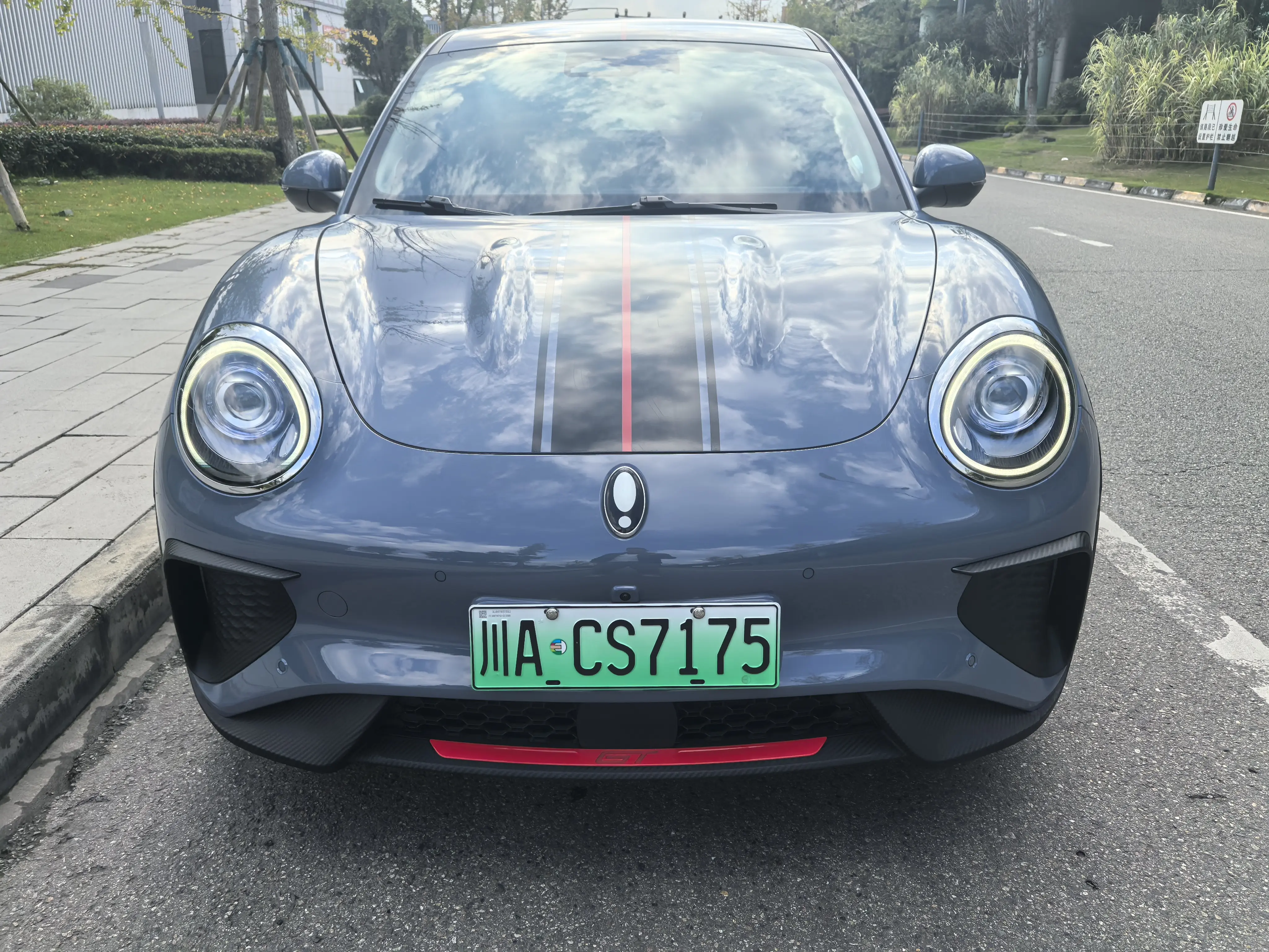 ORA Euler Good Cat GT