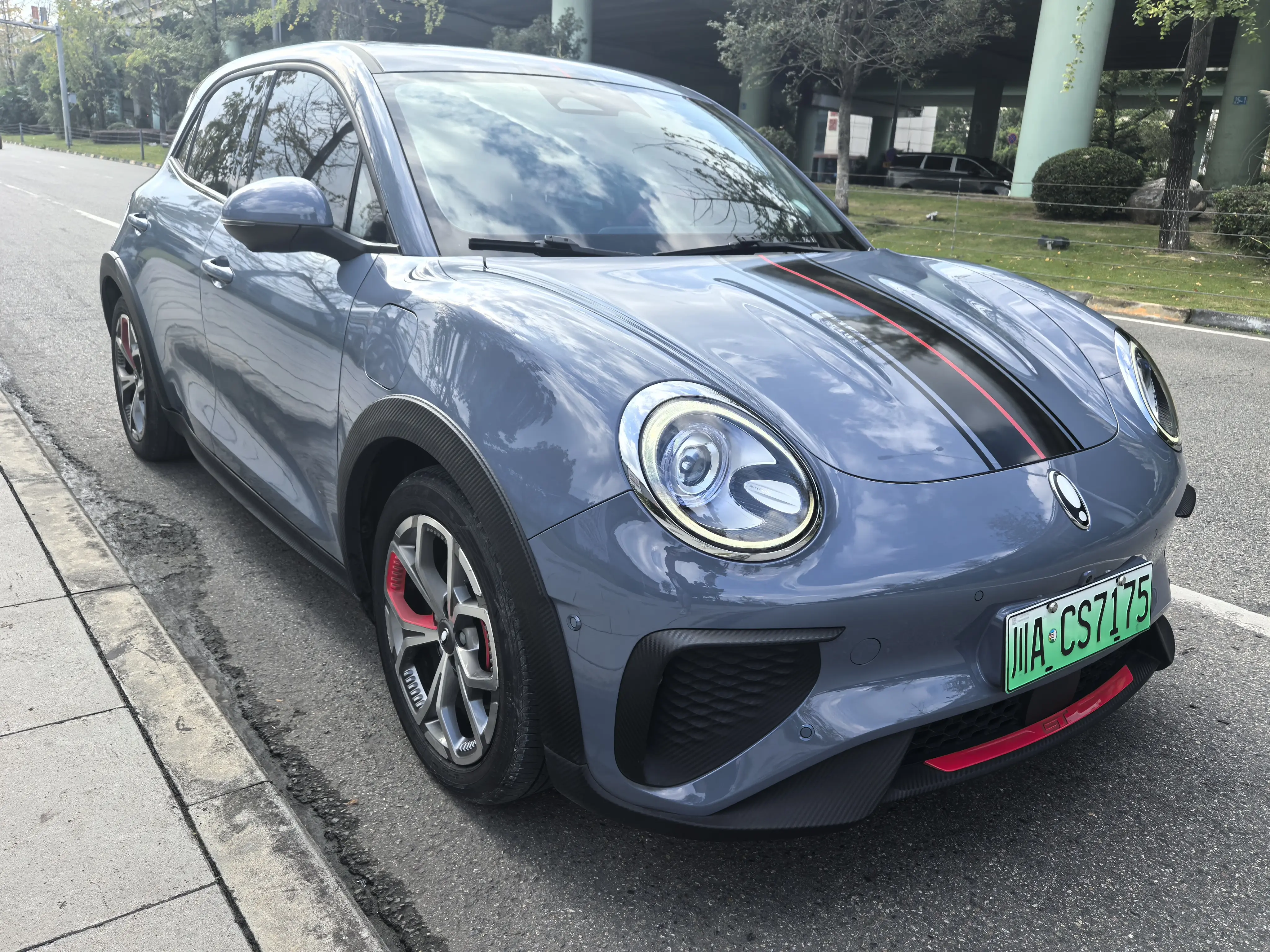 ORA Euler Good Cat GT