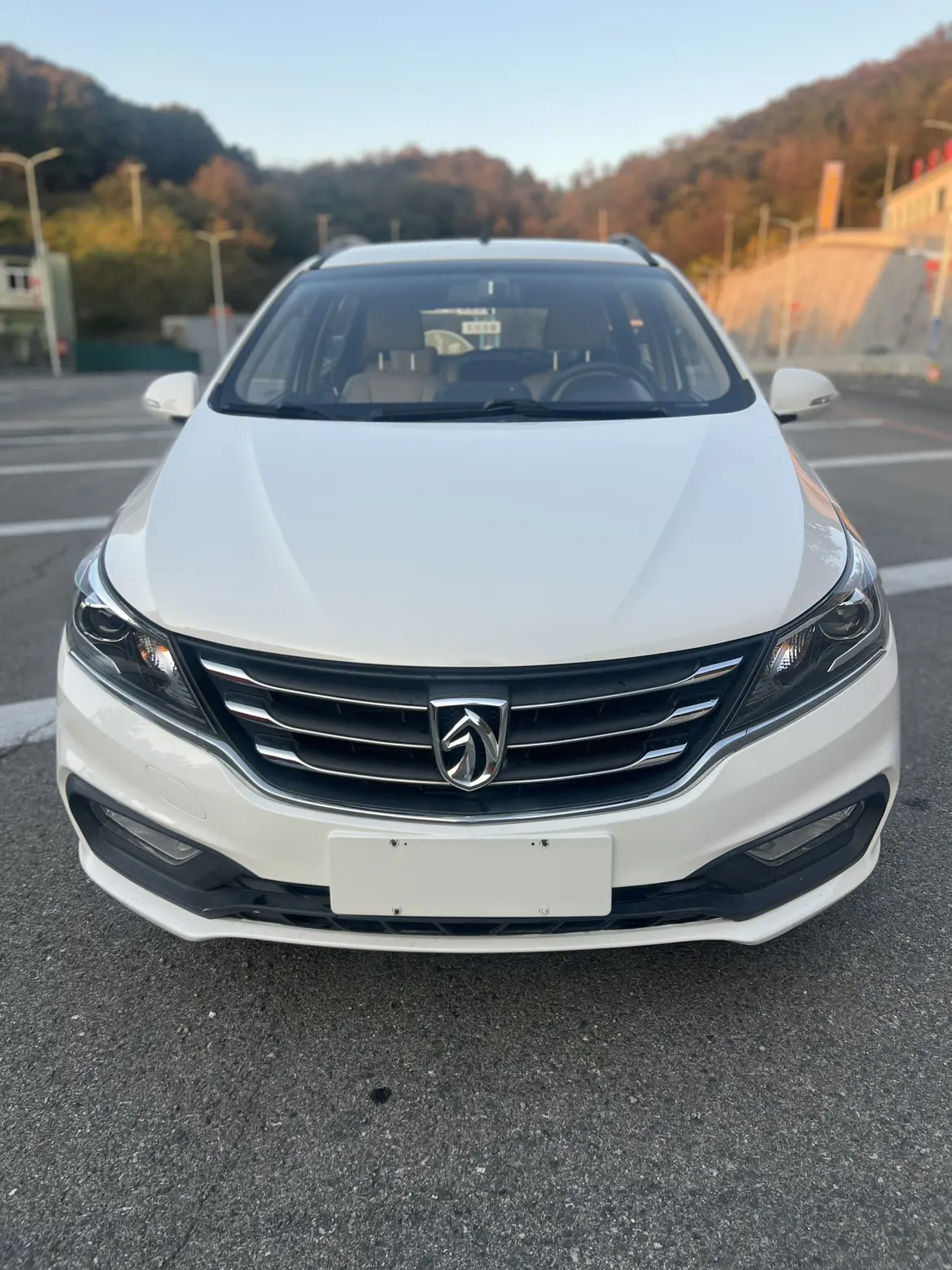 Baojun 310W