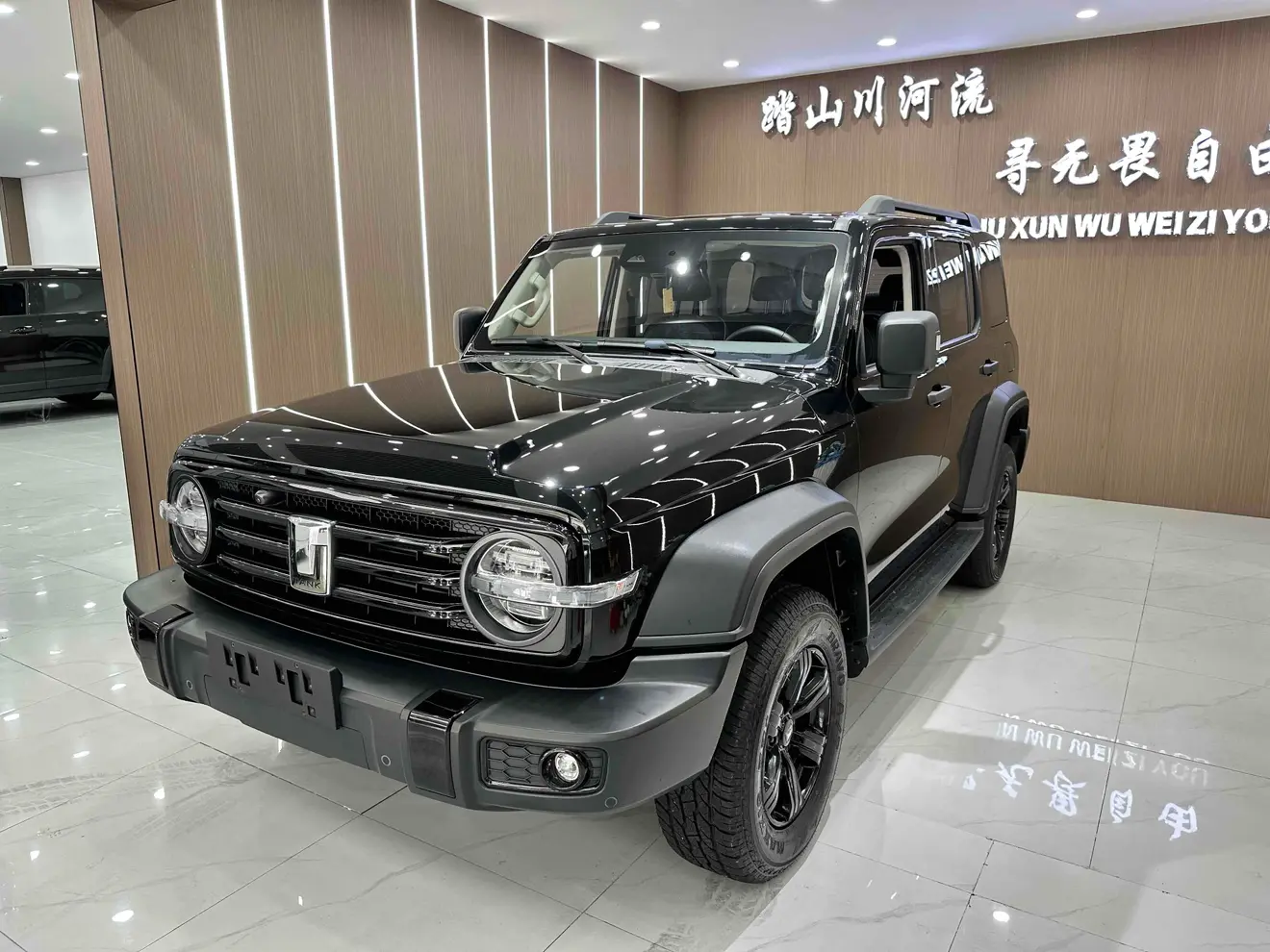 Tank 300  из Китая