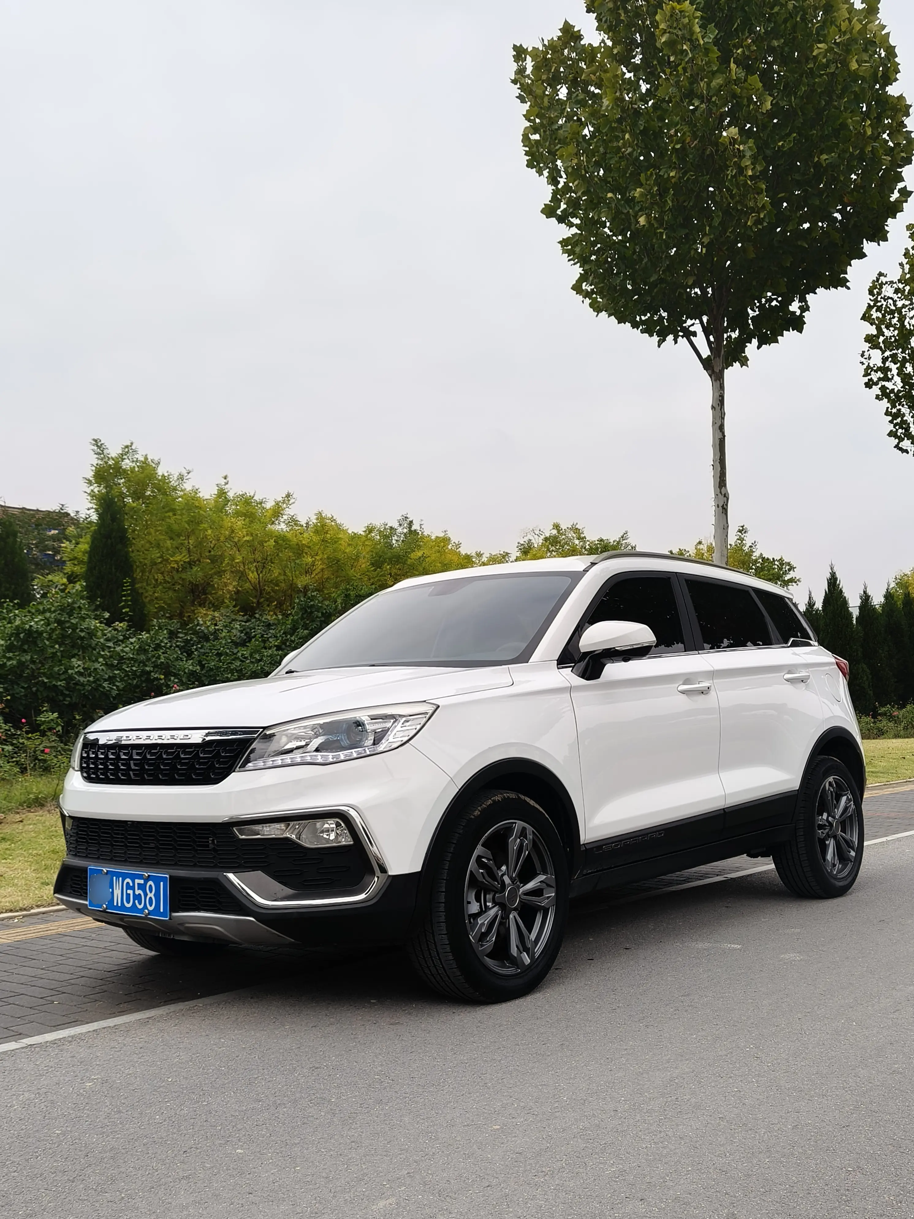 Cheetah cars Cheetah CS9