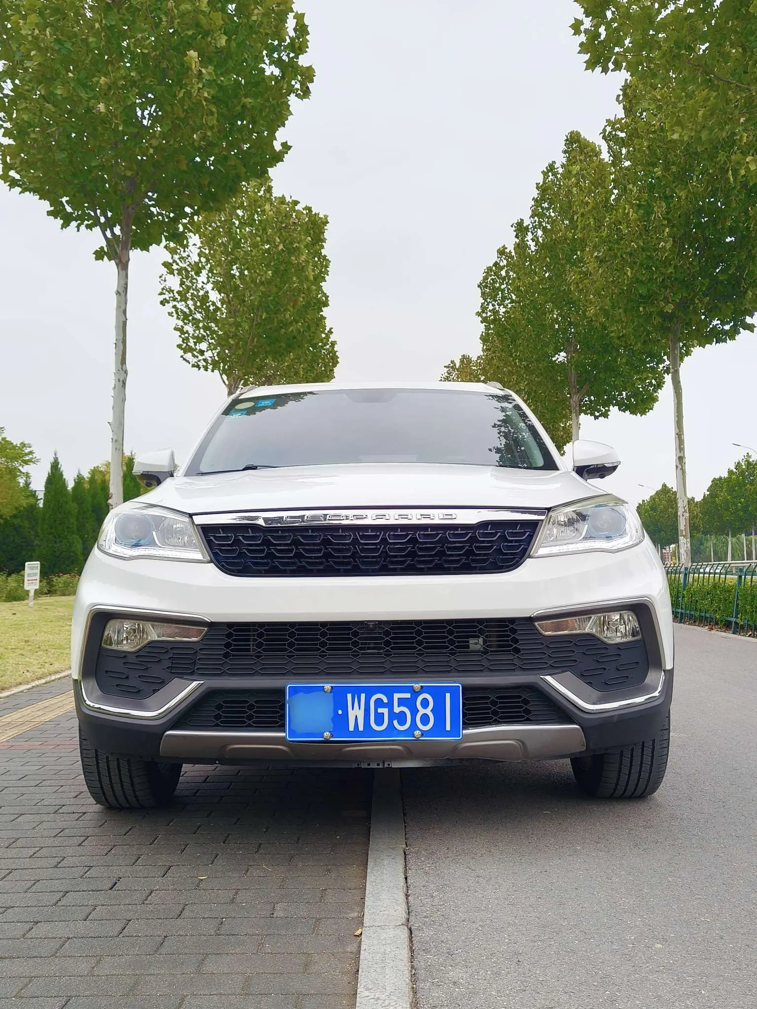 Cheetah cars Cheetah CS9