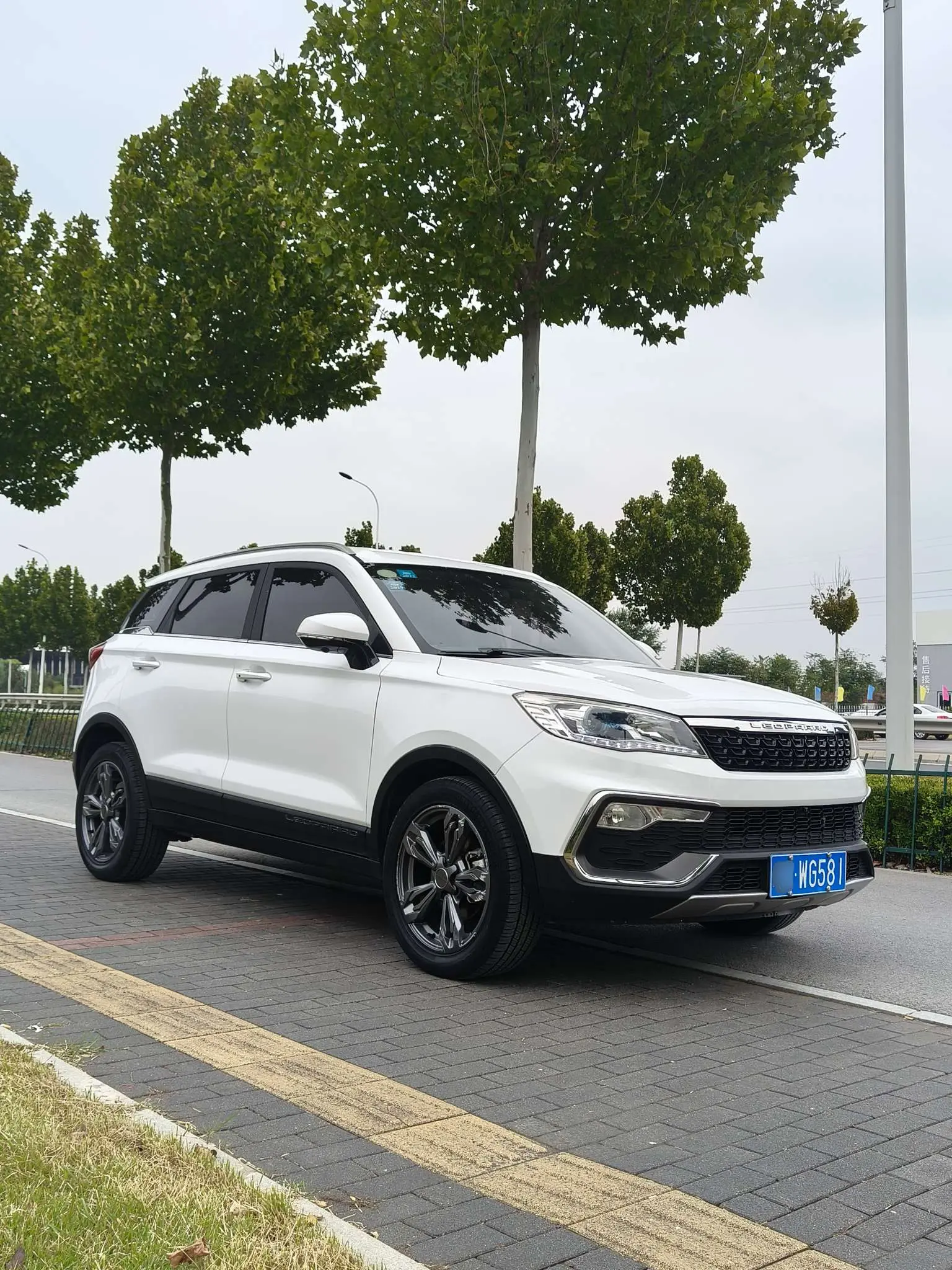 Cheetah cars Cheetah CS9