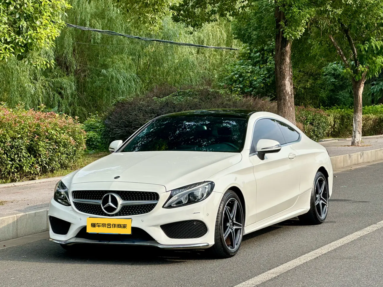 Mercedes-Benz C-Class (imported)