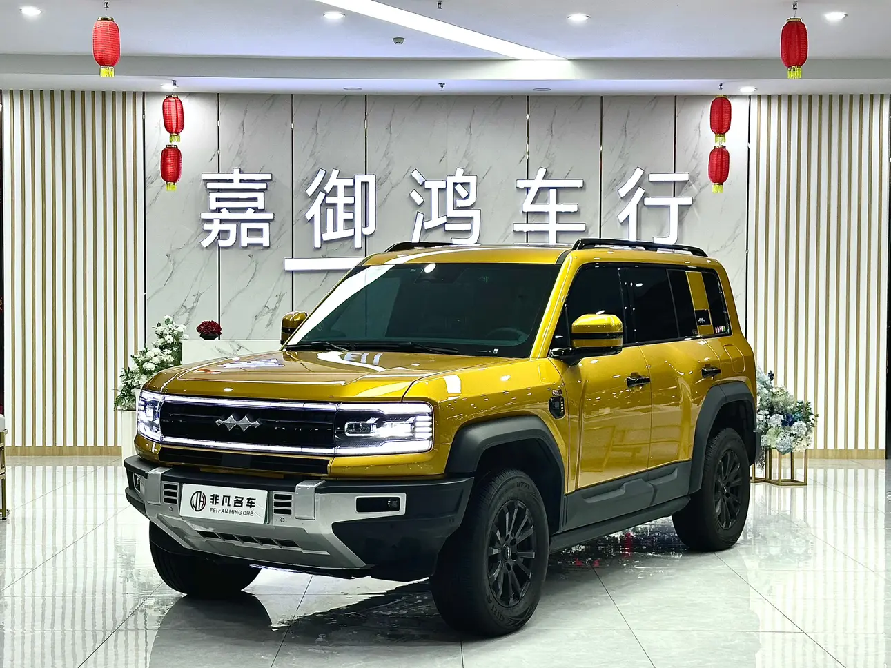 BYD Leopard Leopard 5