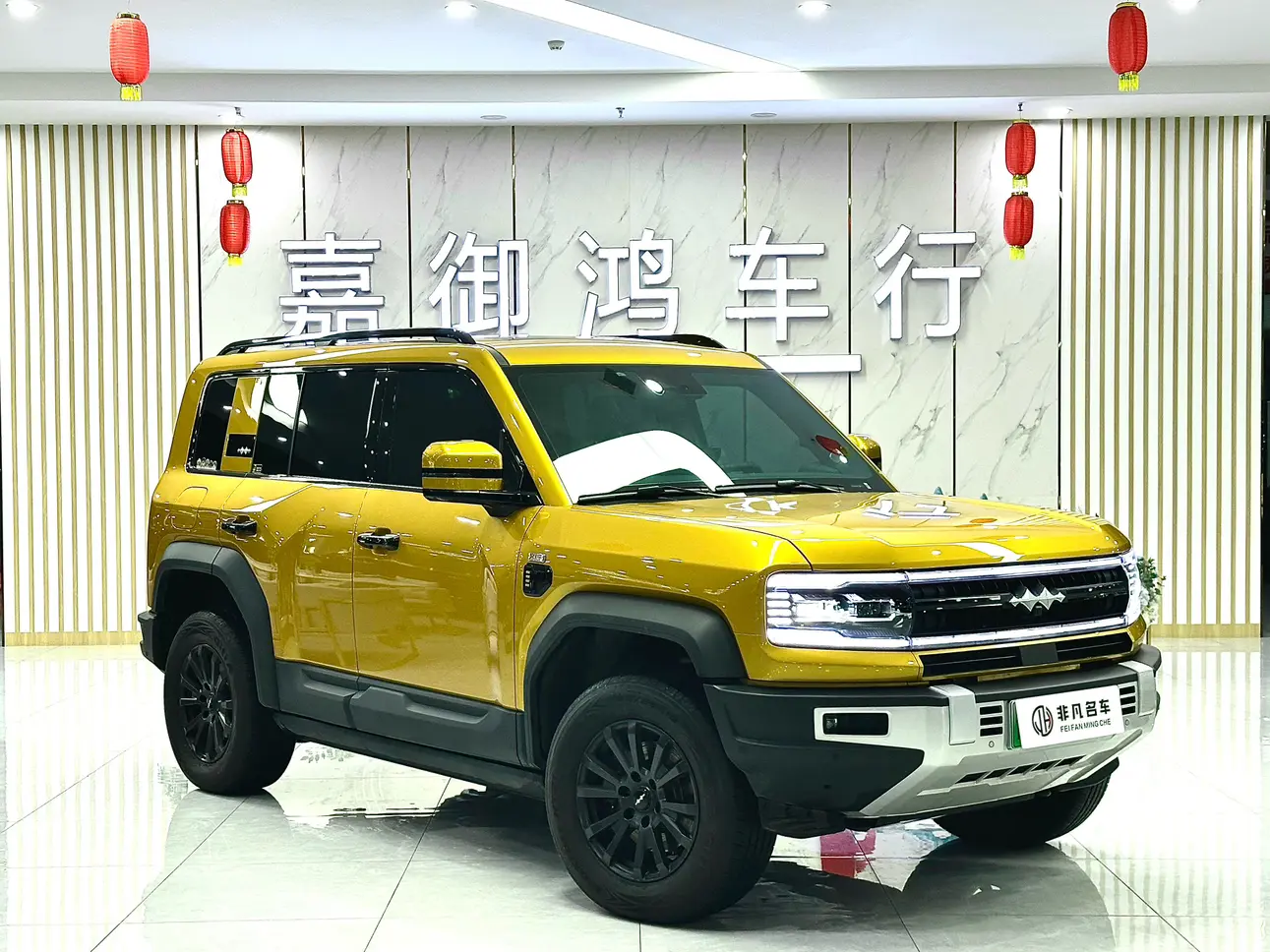 BYD Leopard Leopard 5