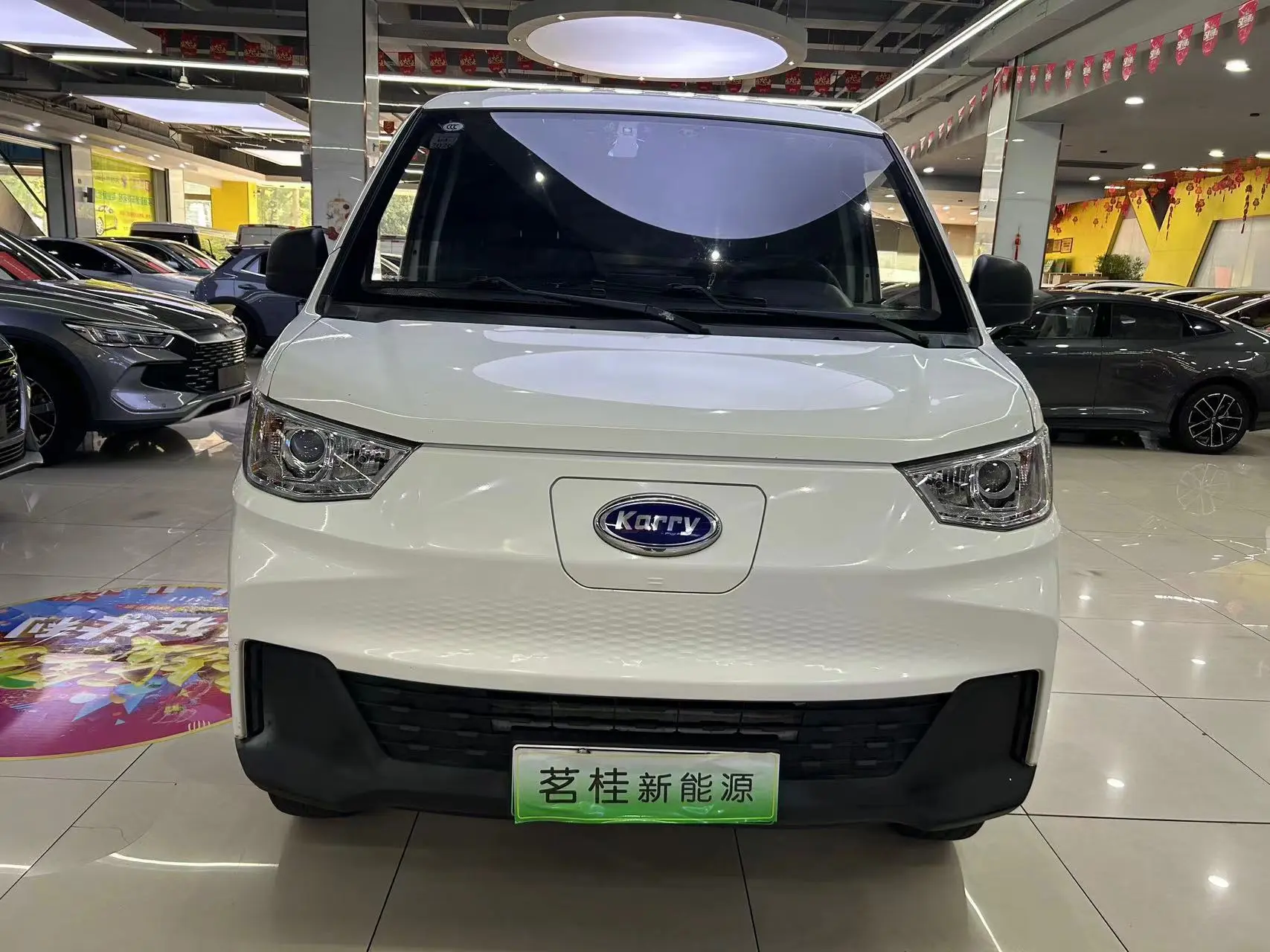 Carrier Finless porpoise