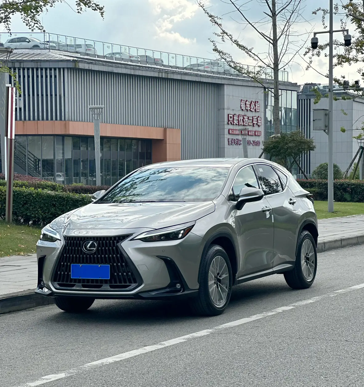 Lexus NX