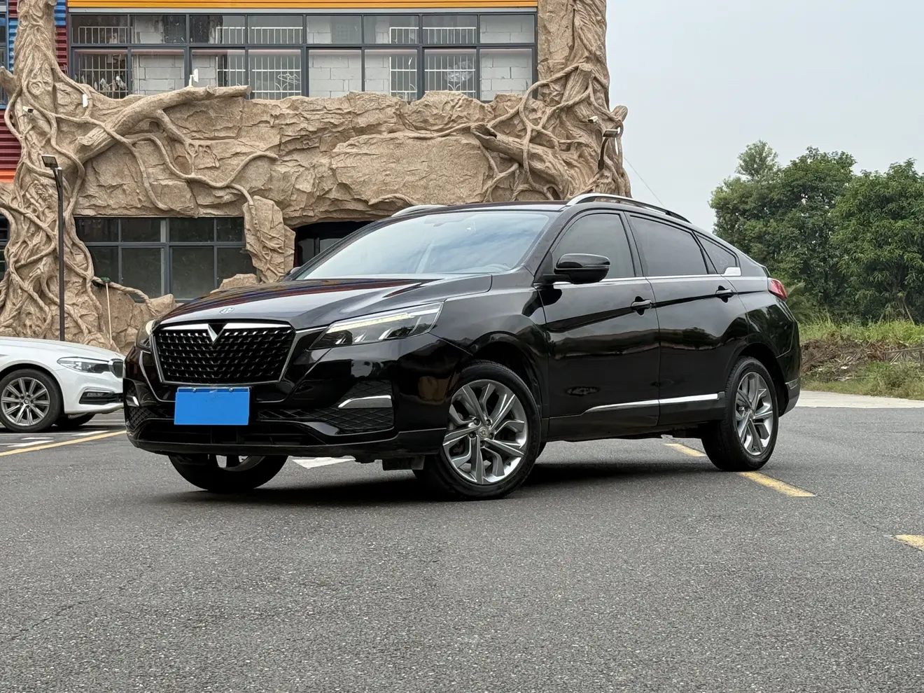 Kai Chen Venucia T90