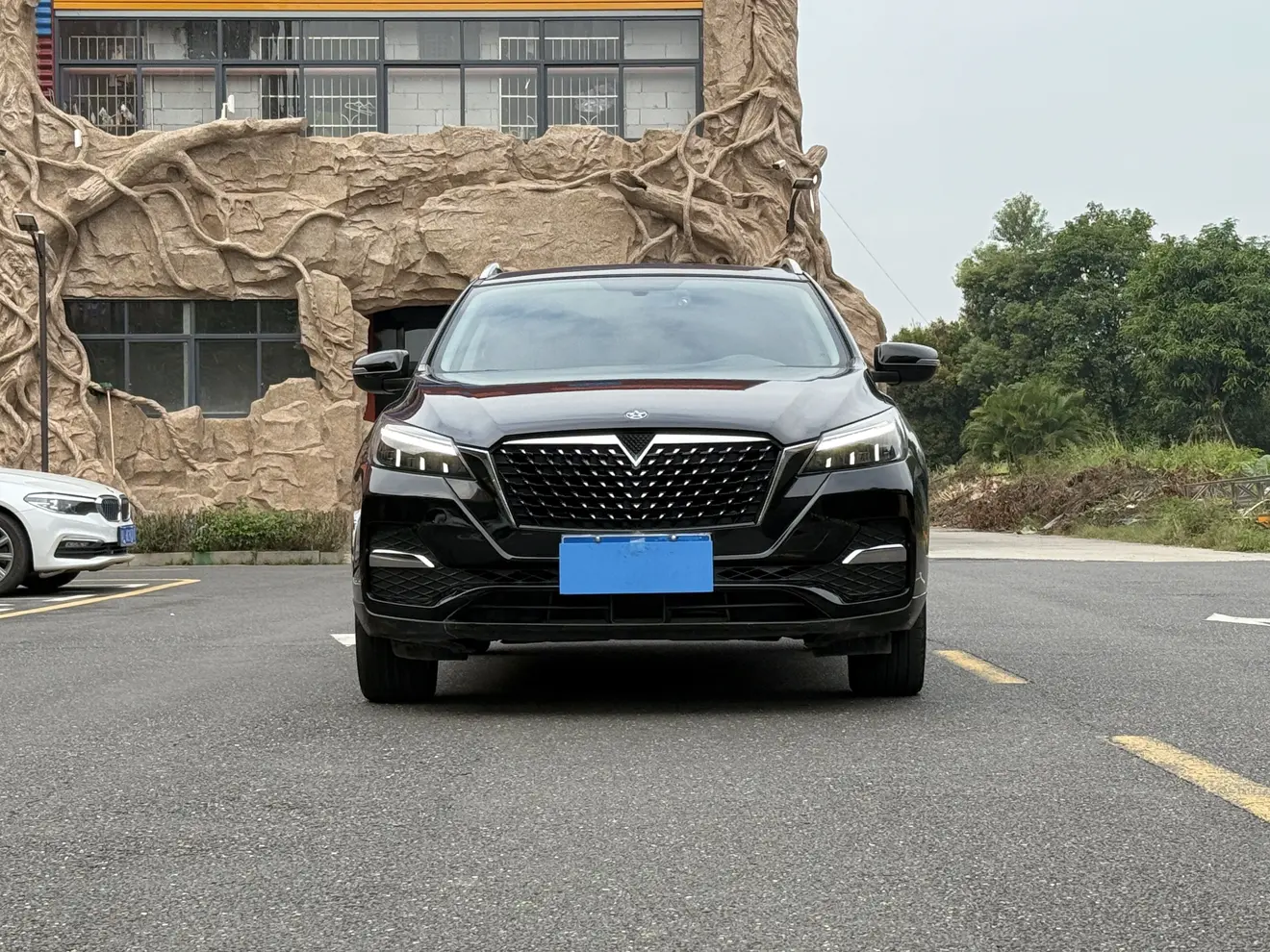 Kai Chen Venucia T90