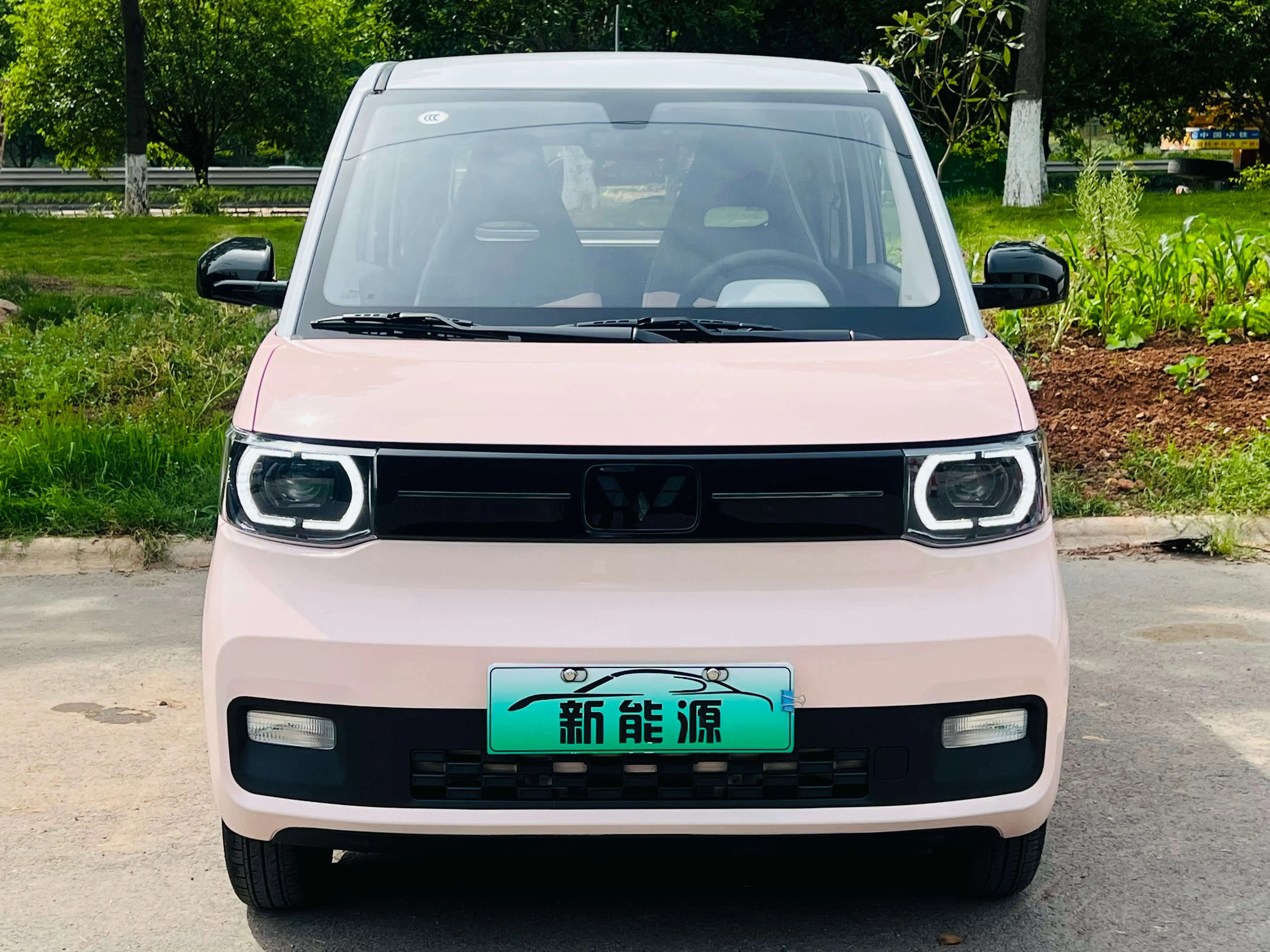 Wuling Hongguang MINIEV  из Китая