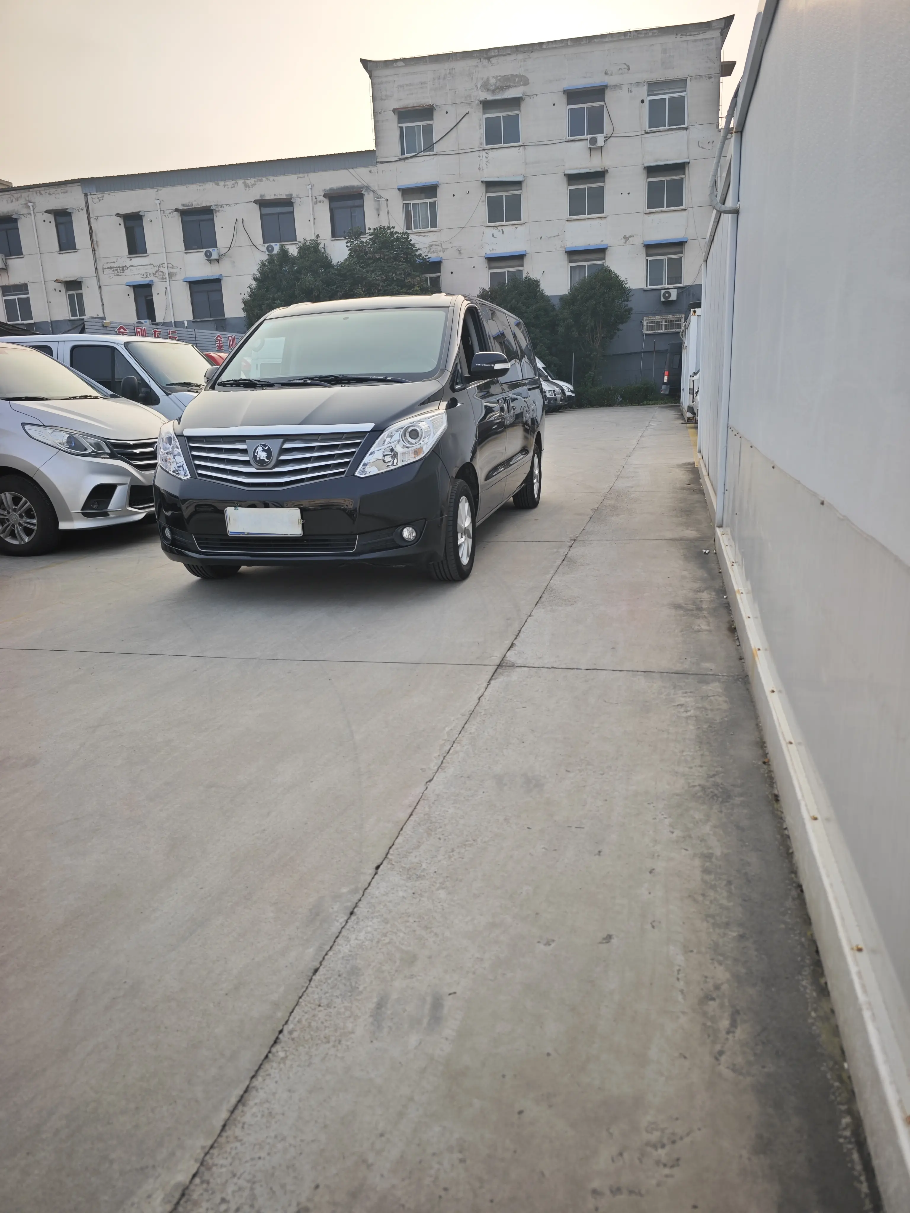 Forthing Lingzhi PLUS