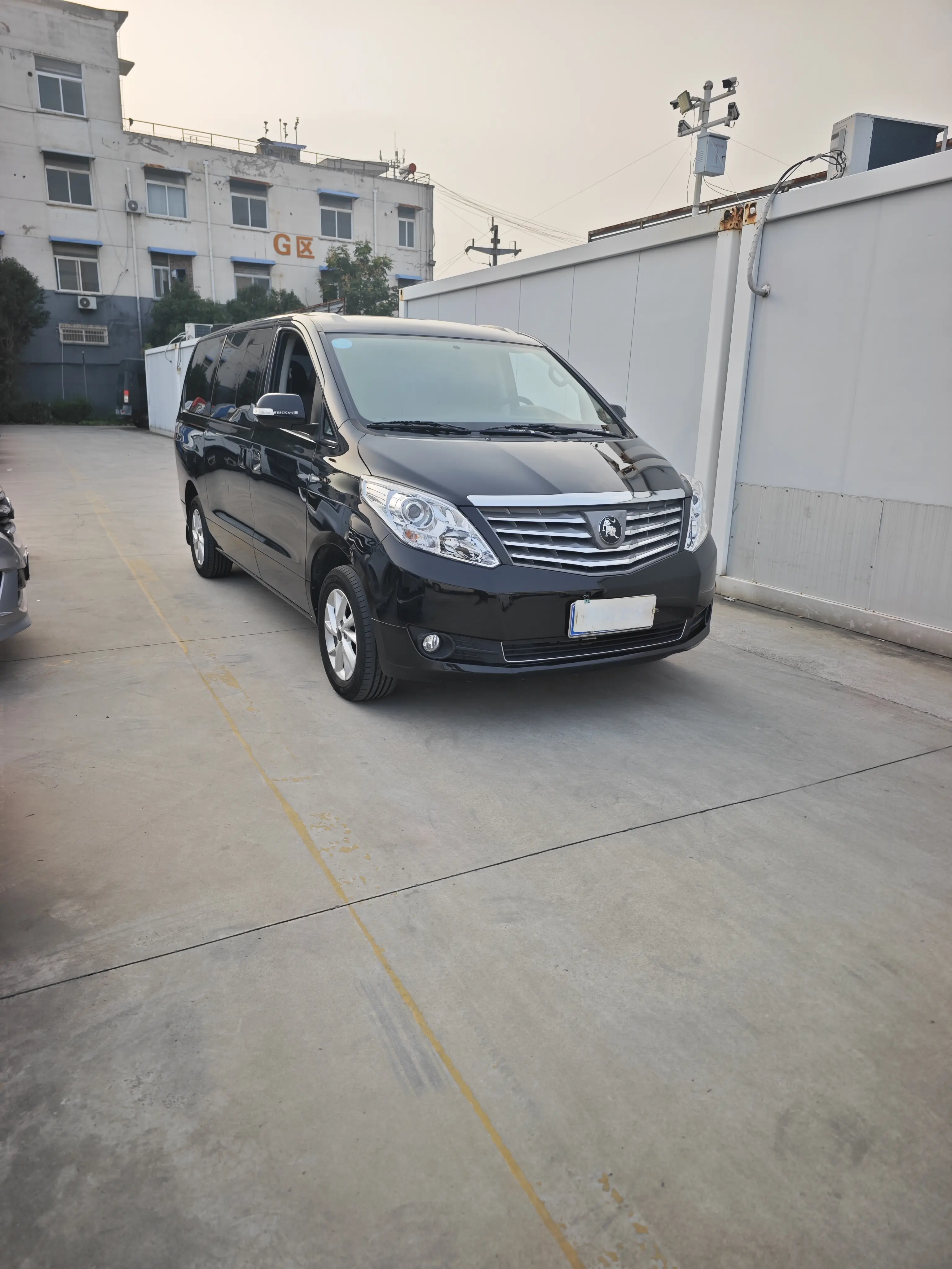 Forthing Lingzhi PLUS