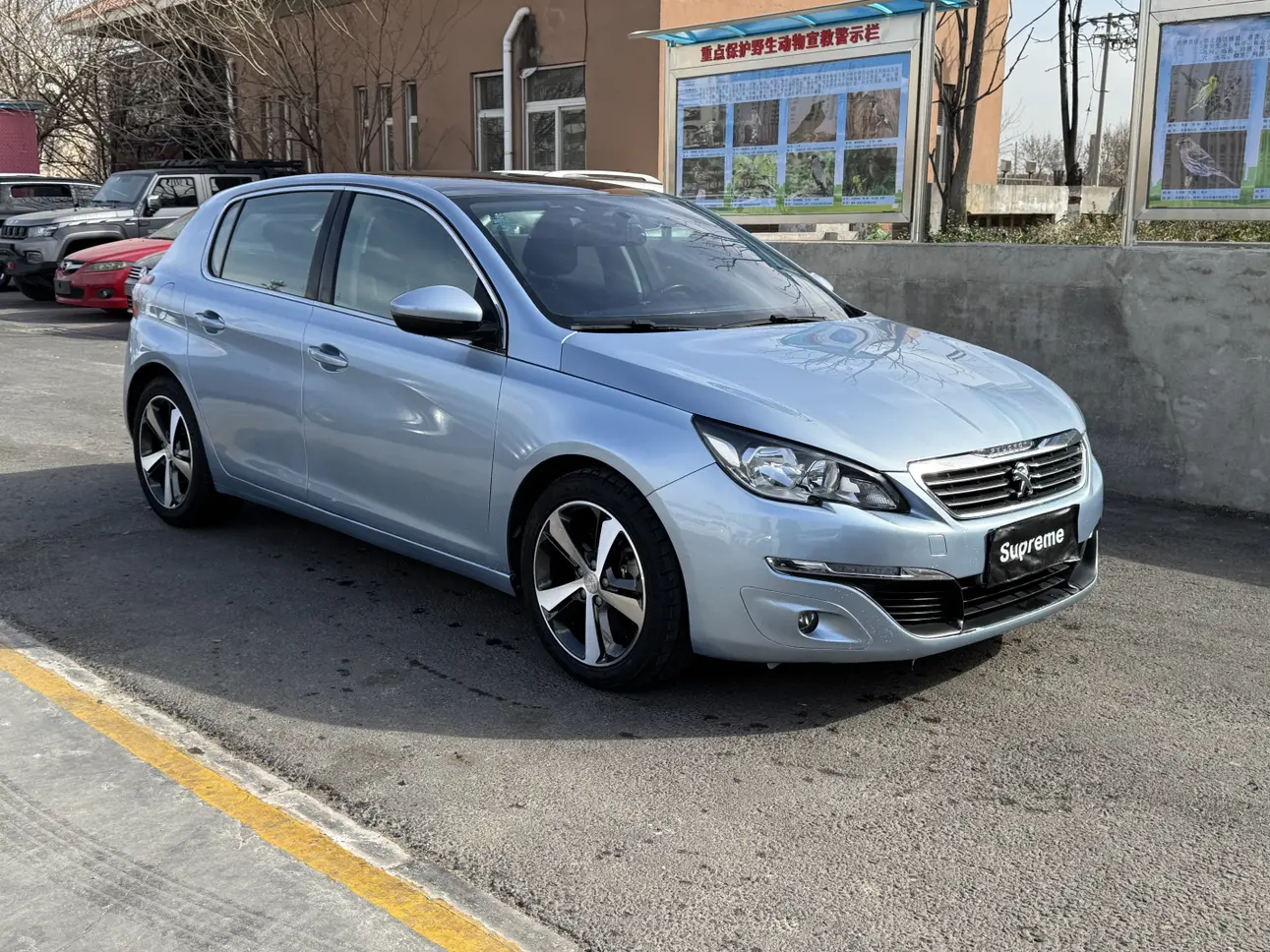 Peugeot 308S