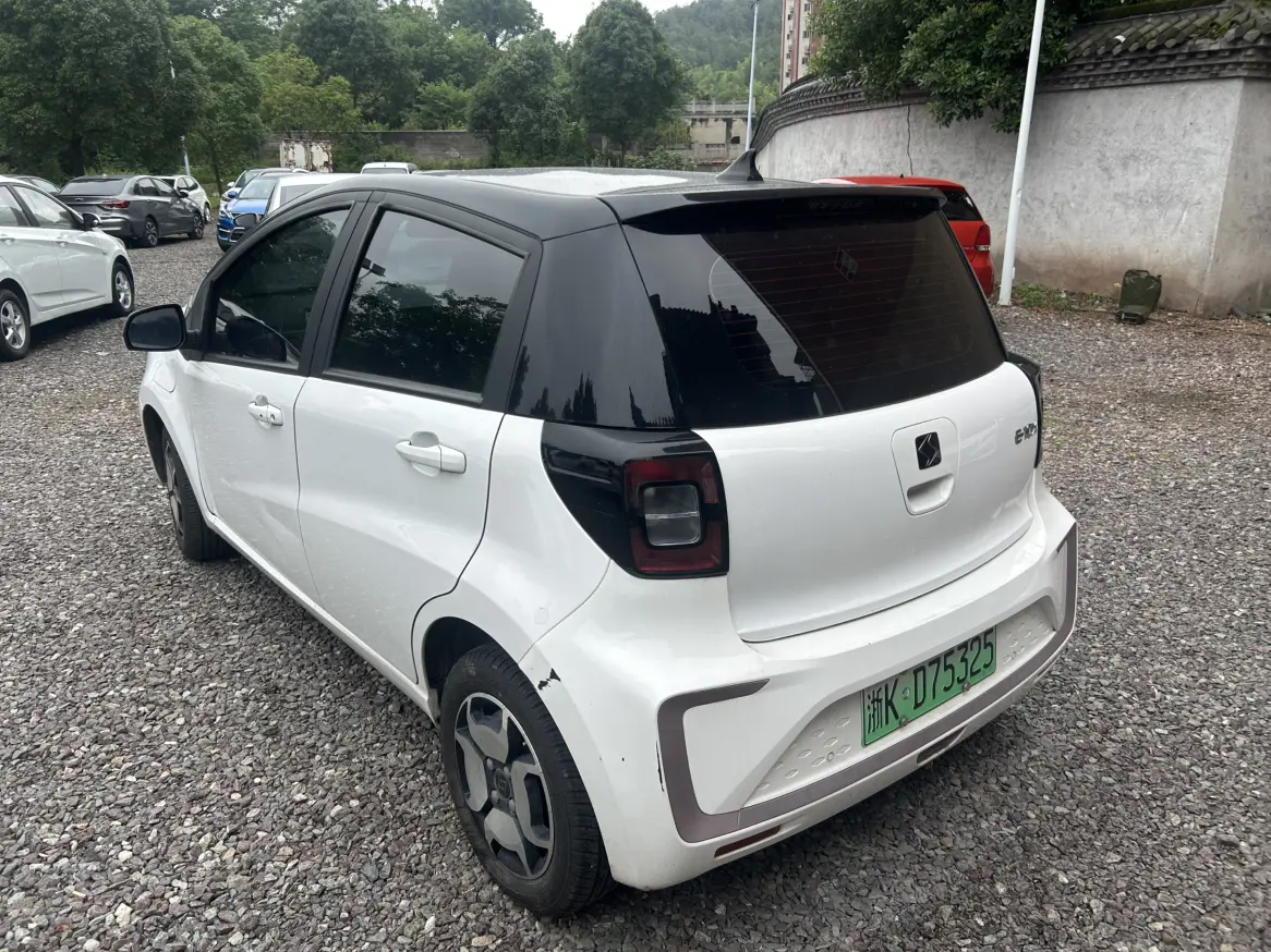 JAC (Sihao) Sihao Flower Fairy