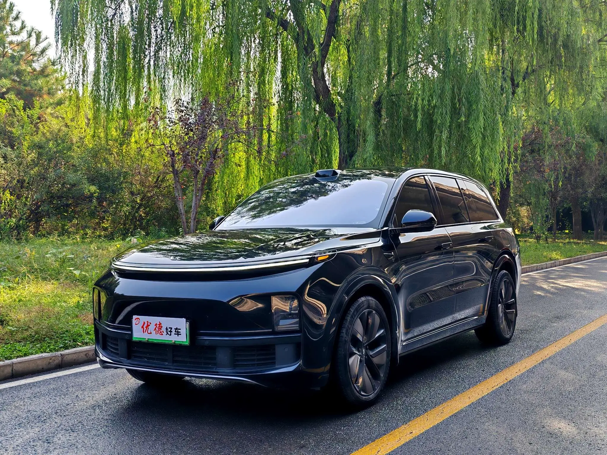 Li L9 (Ideal L9)  из Китая