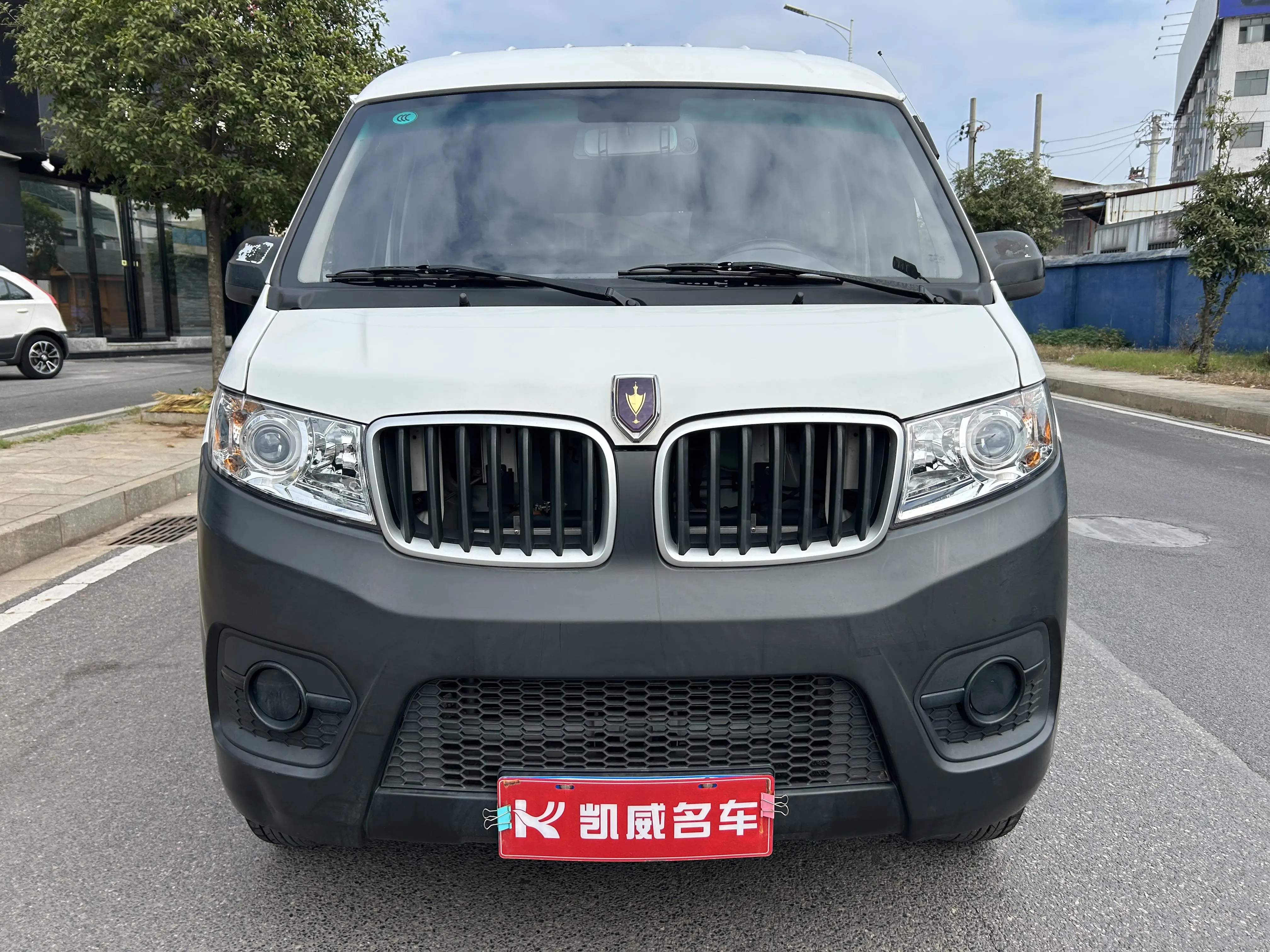 Golden cup Little sea lion X30