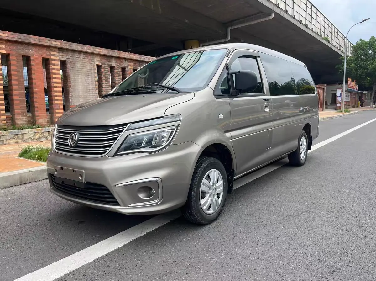 Forthing Lingzhi  из Китая