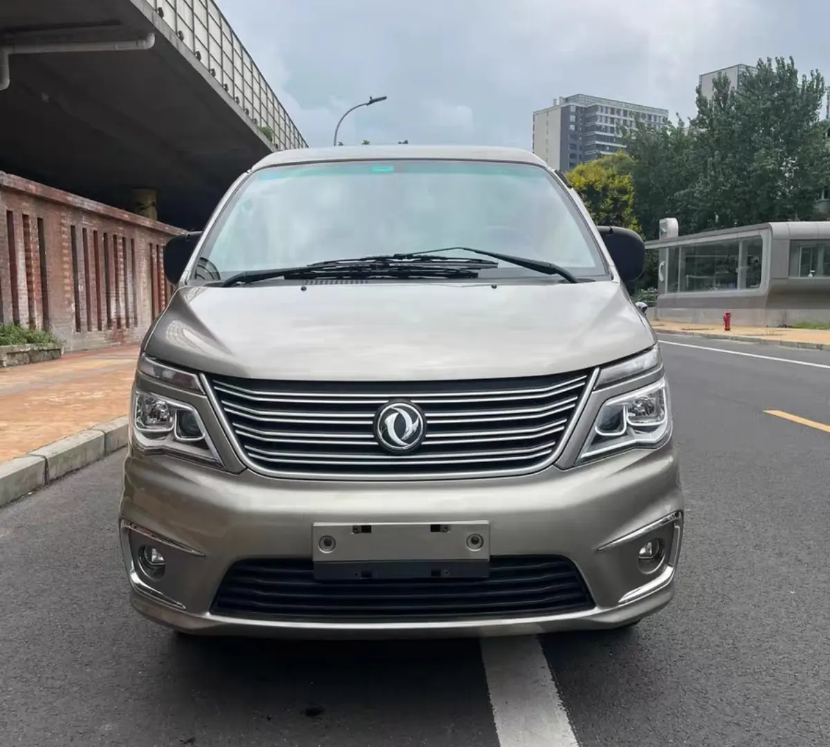 Forthing Lingzhi  из Китая