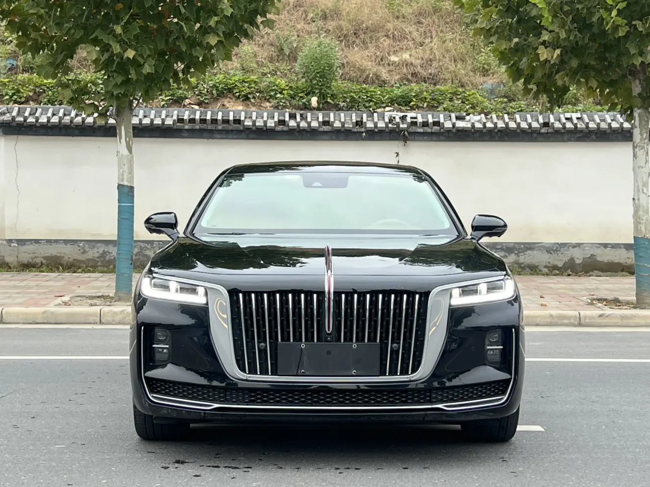 Hongqi H9