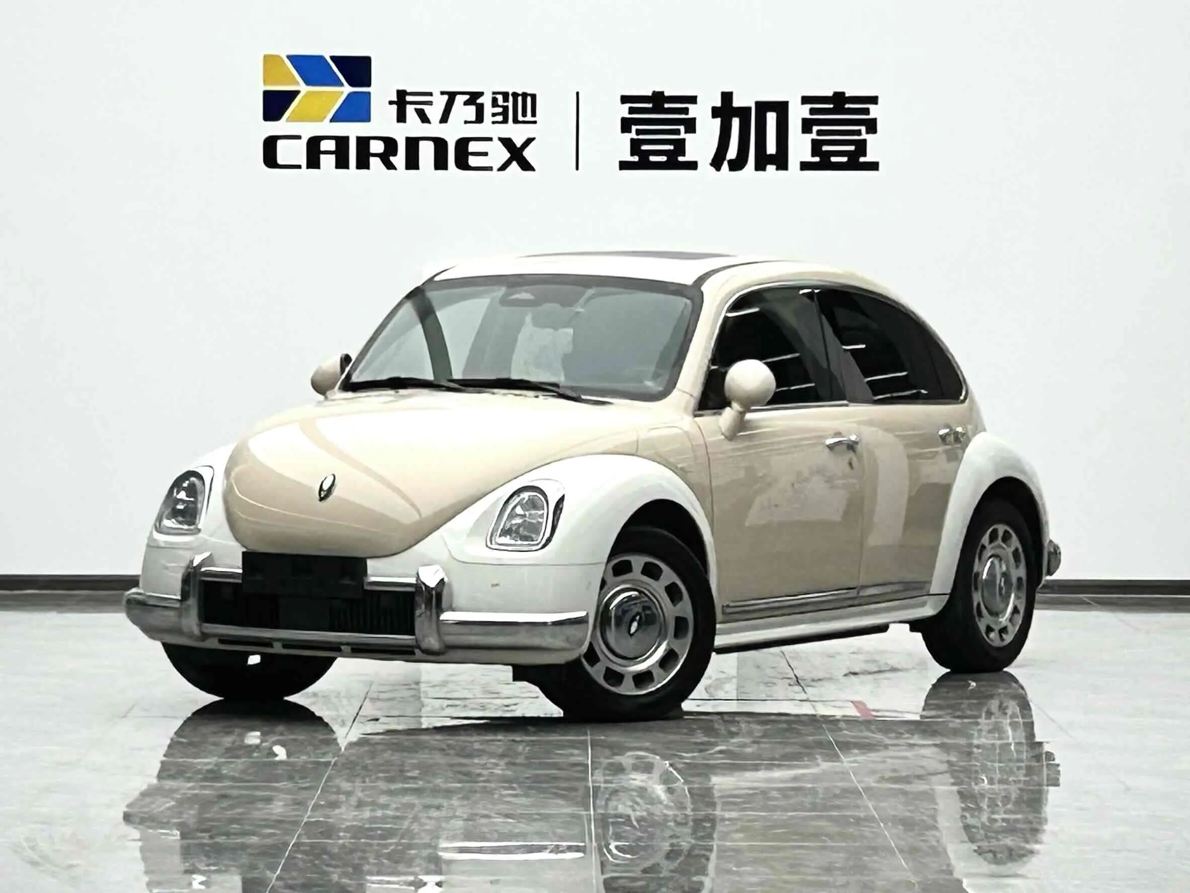 ORA Euler ballet cat