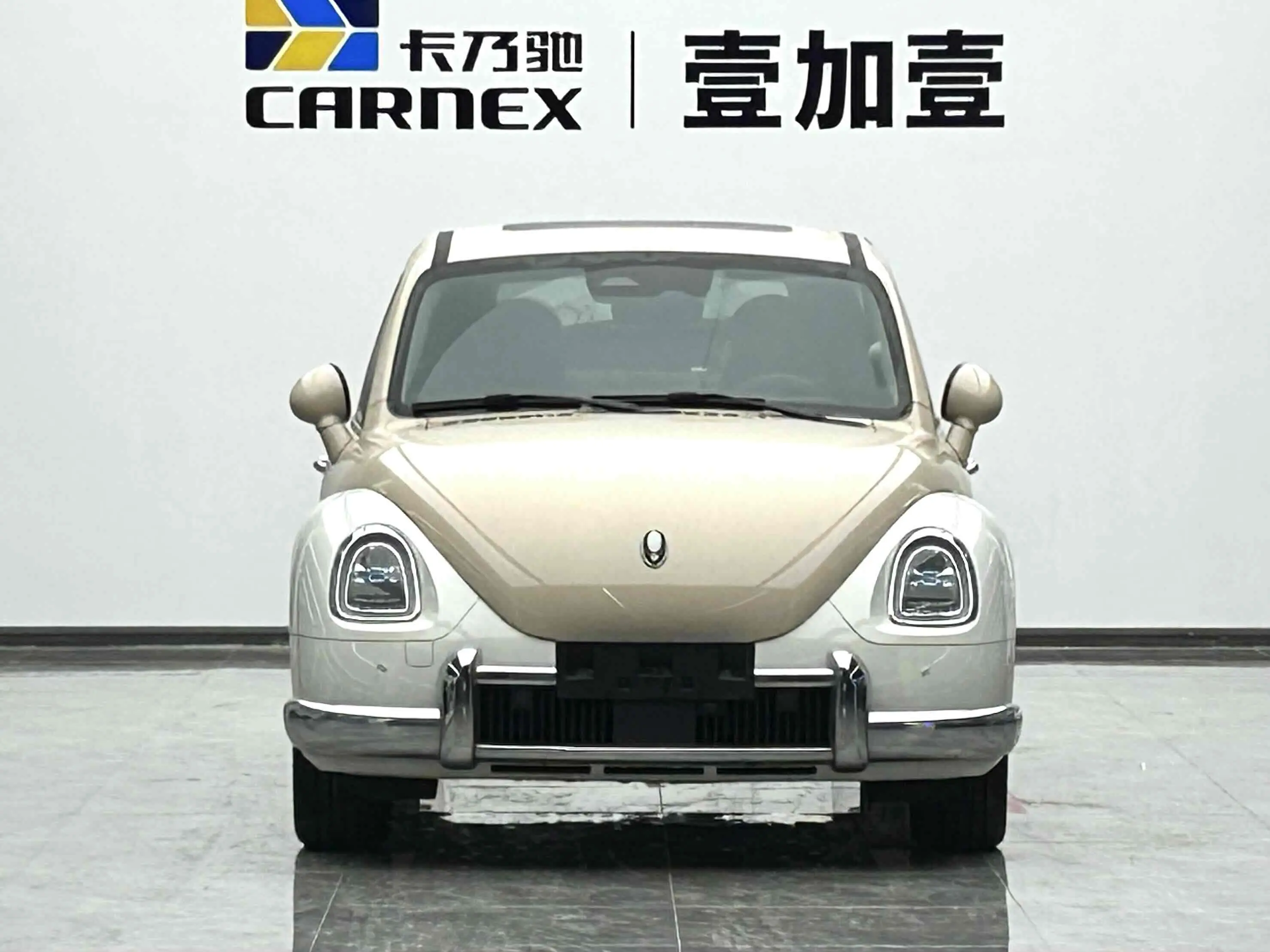 ORA Euler ballet cat