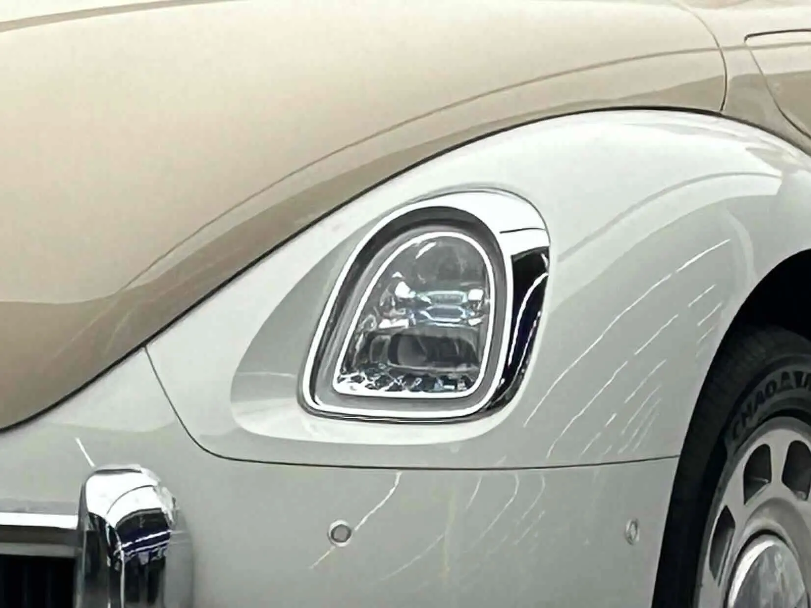 ORA Euler ballet cat