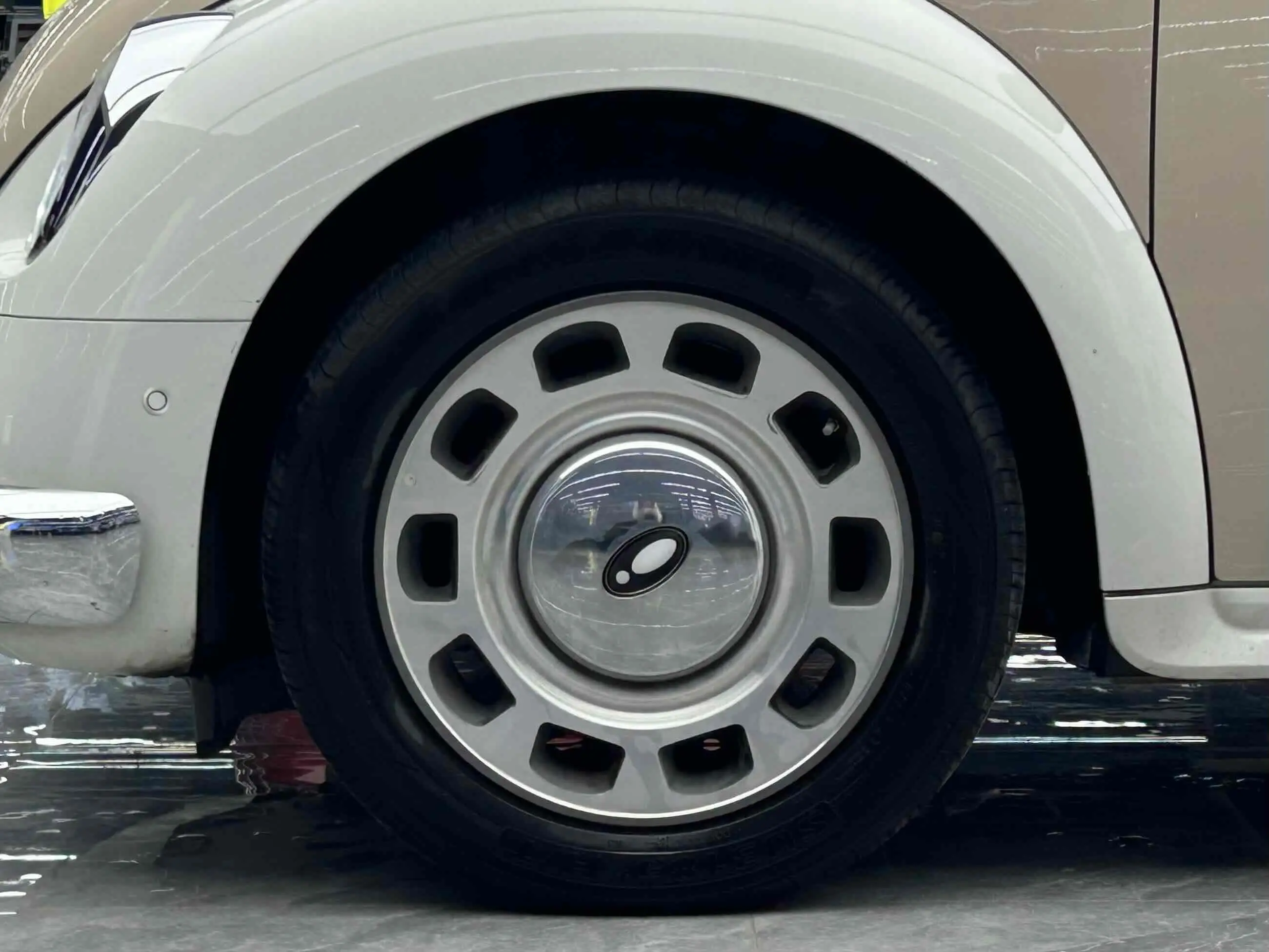 ORA Euler ballet cat