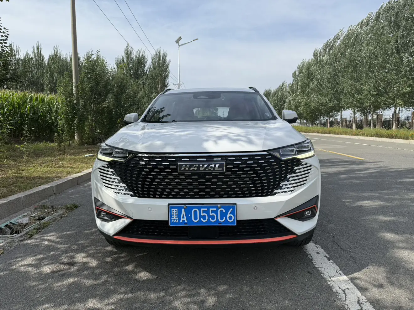 Haval H6  из Китая