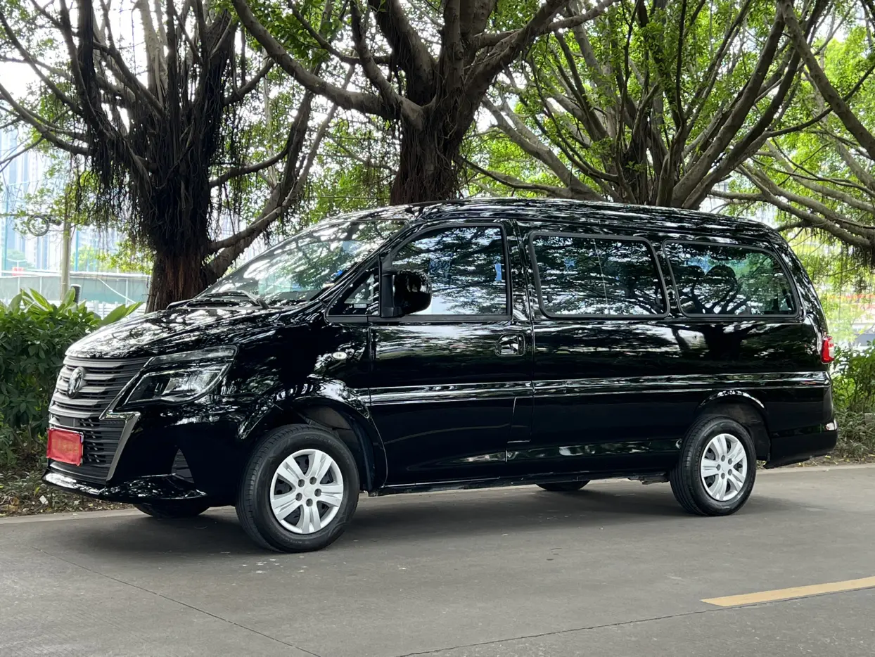 Forthing Lingzhi  из Китая