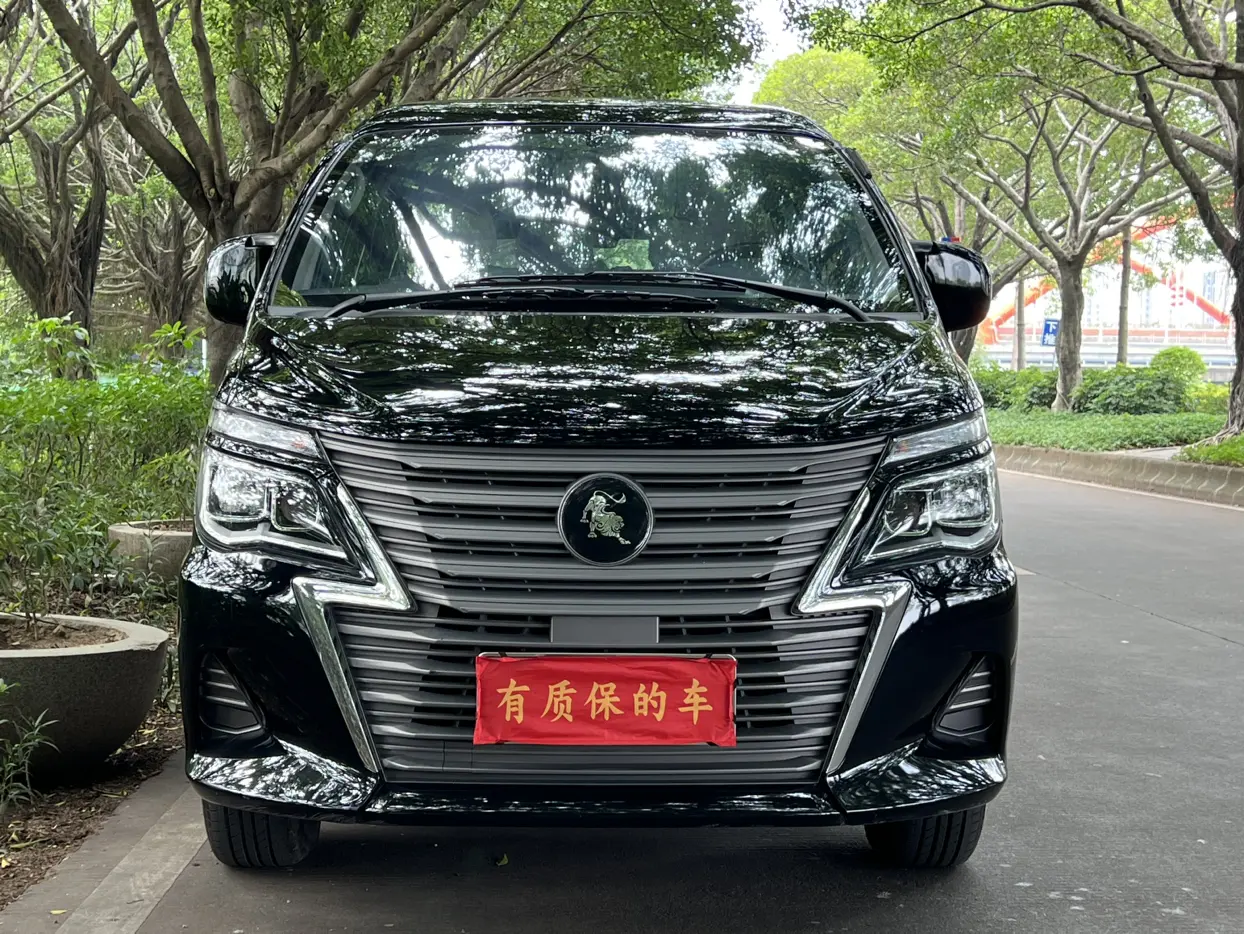 Forthing Lingzhi  из Китая