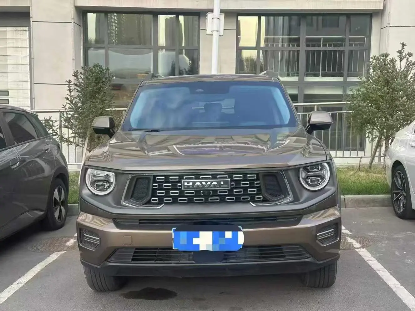 Haval Big Dog PLUS