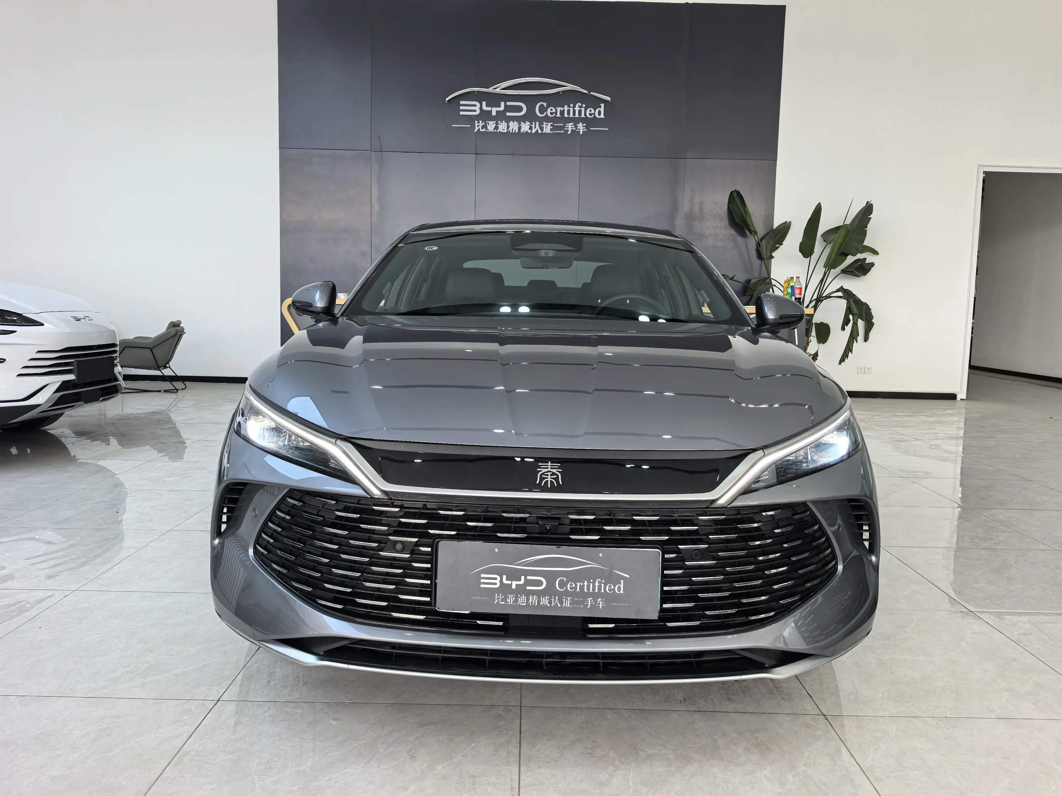 BYD Qin L DM
