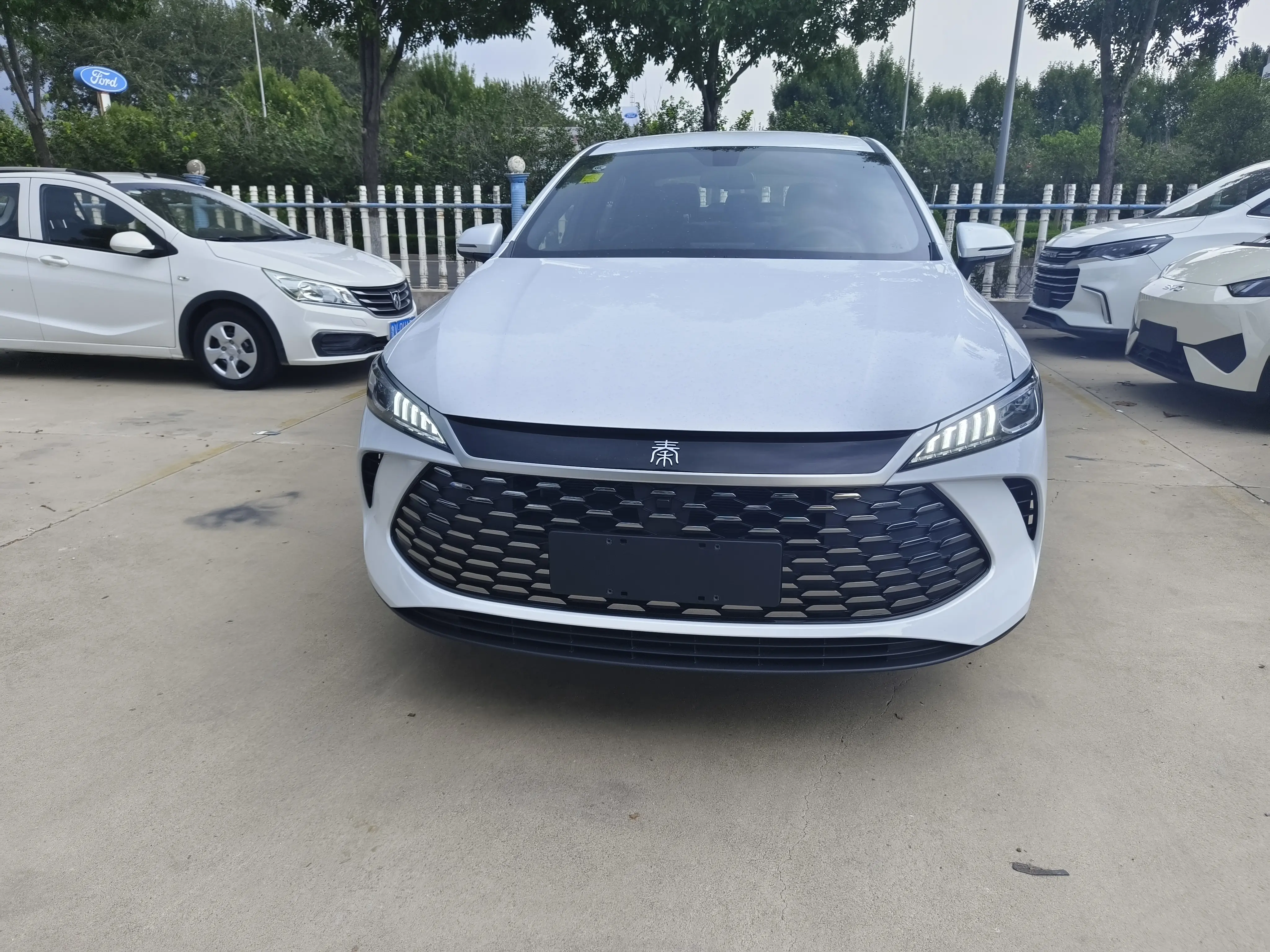 BYD Qin PLUS DM
