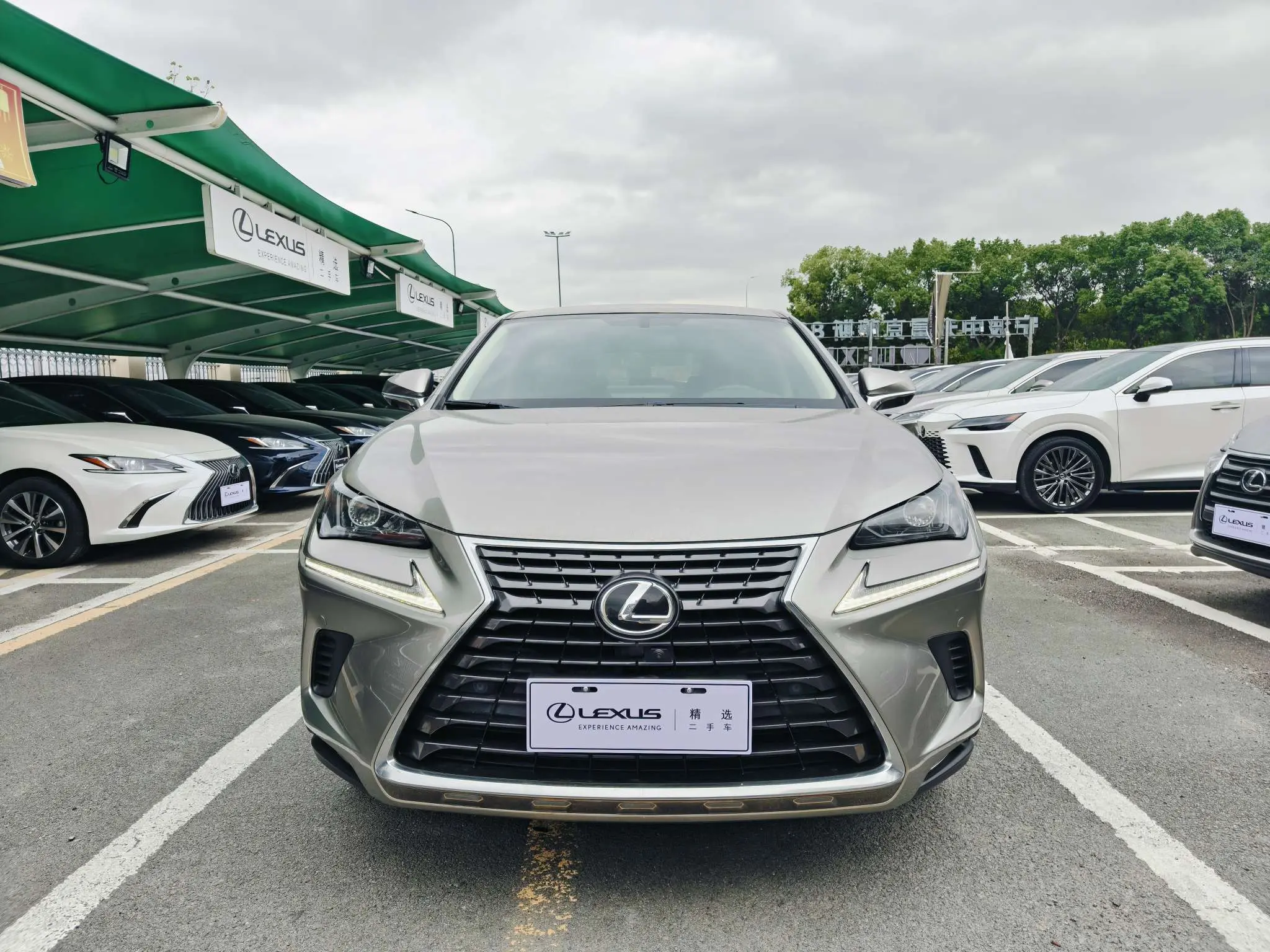 Lexus NX