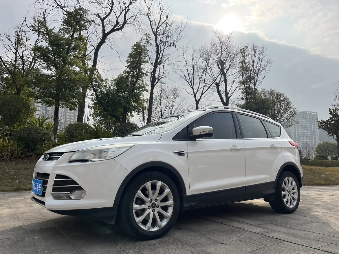 Ford Wing tiger  из Китая