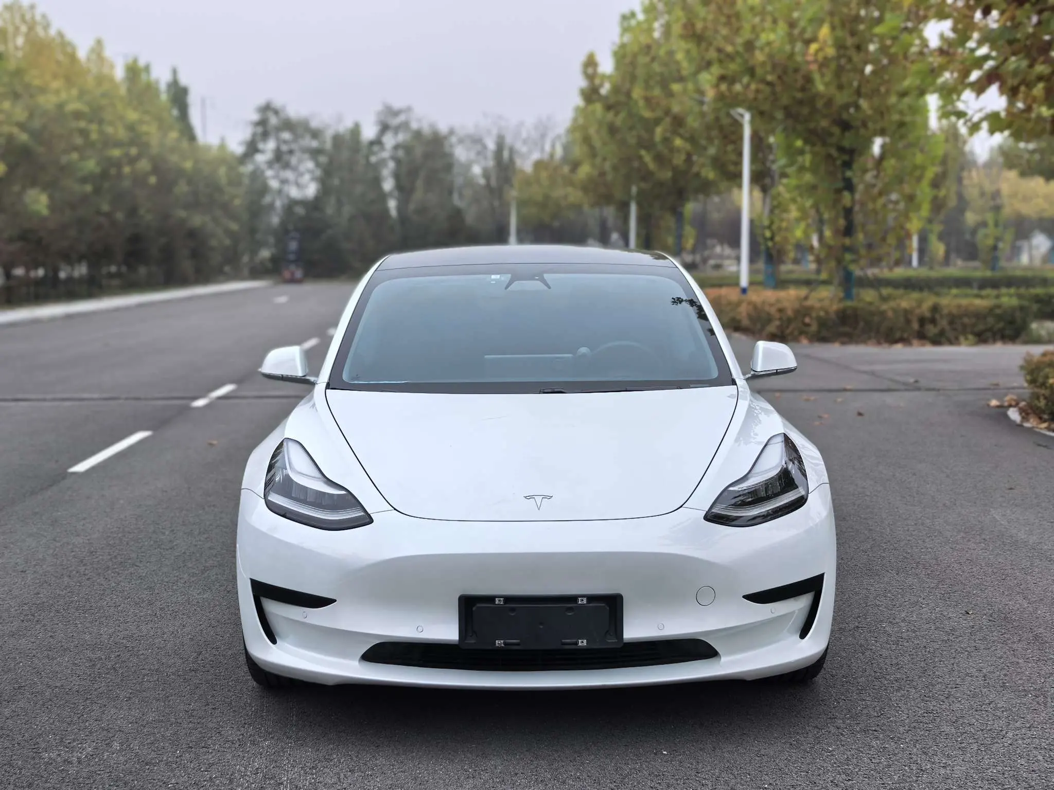 Tesla Model 3  из Китая