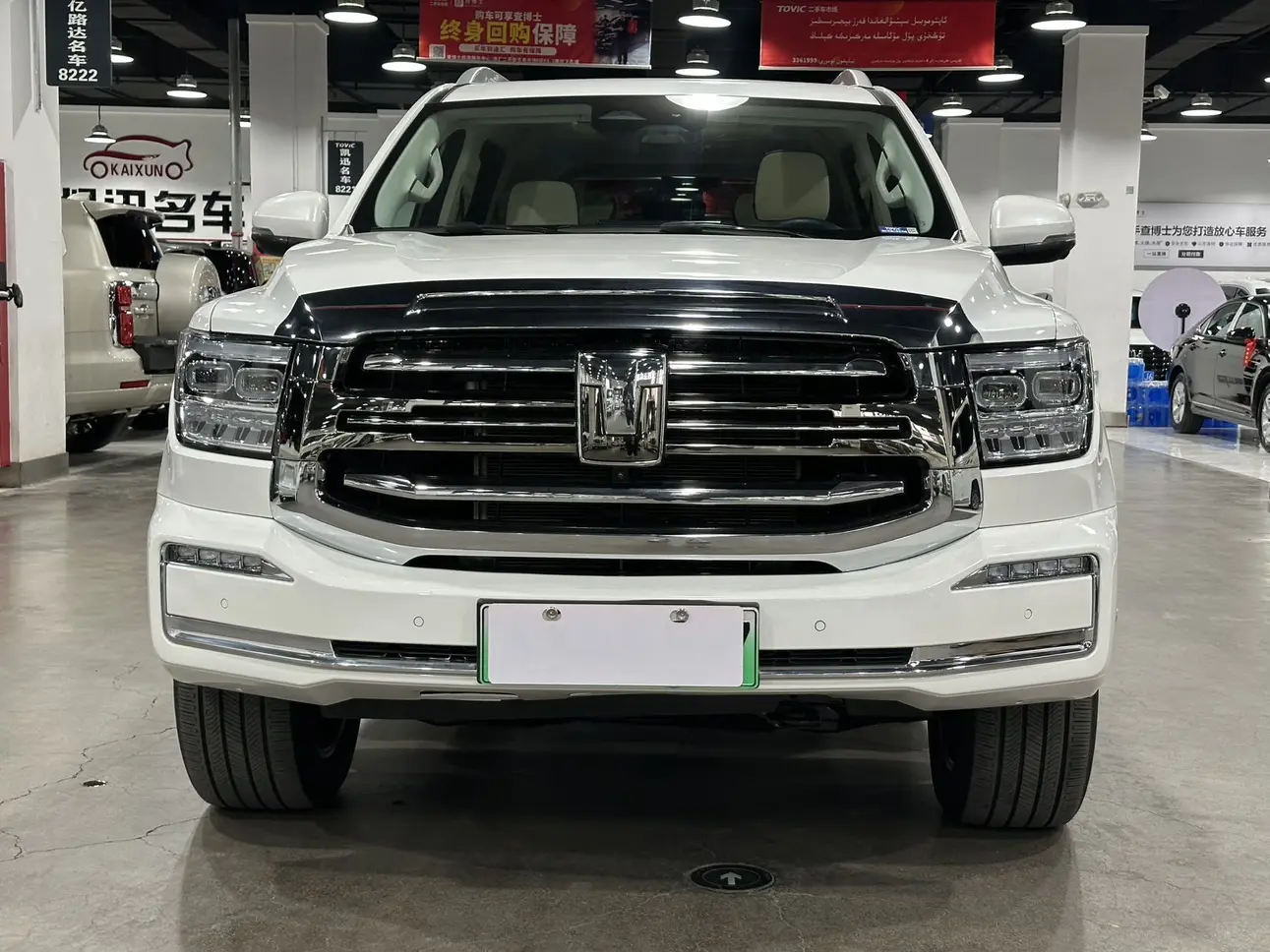 Tank 500 Hi4-Z  из Китая