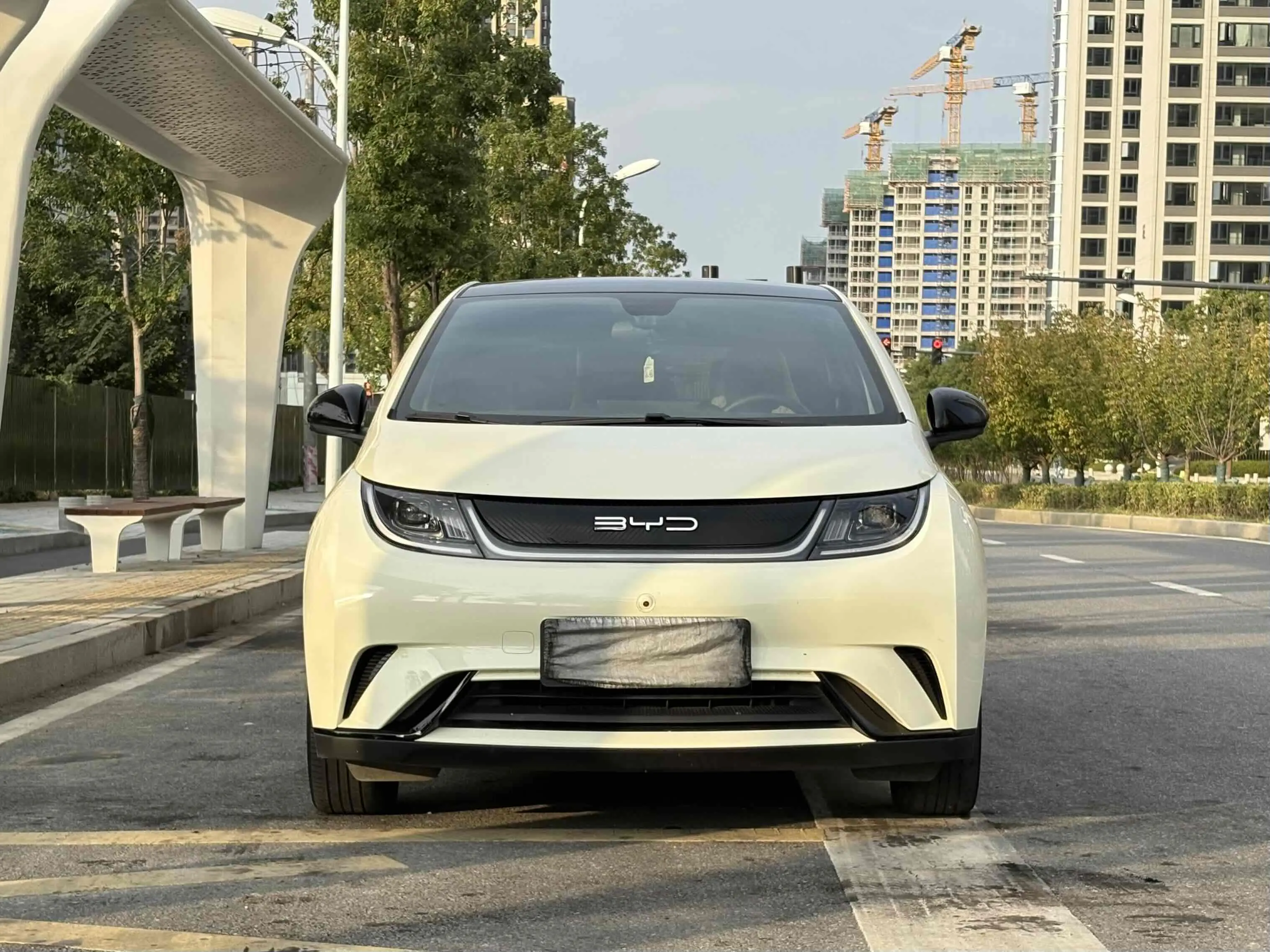 BYD Dolphin  из Китая