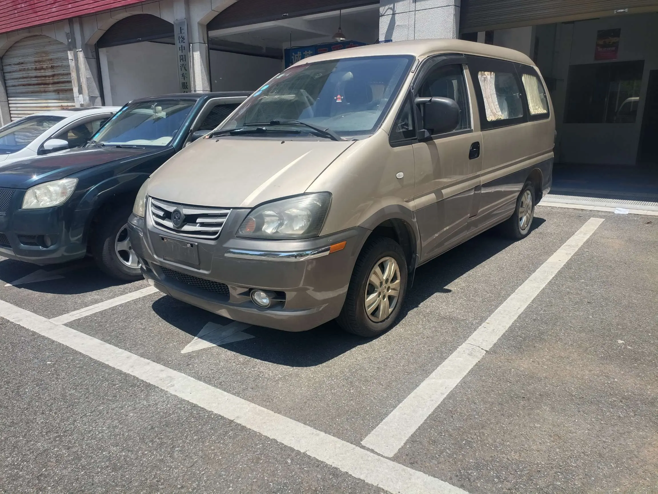 Forthing Lingzhi  из Китая